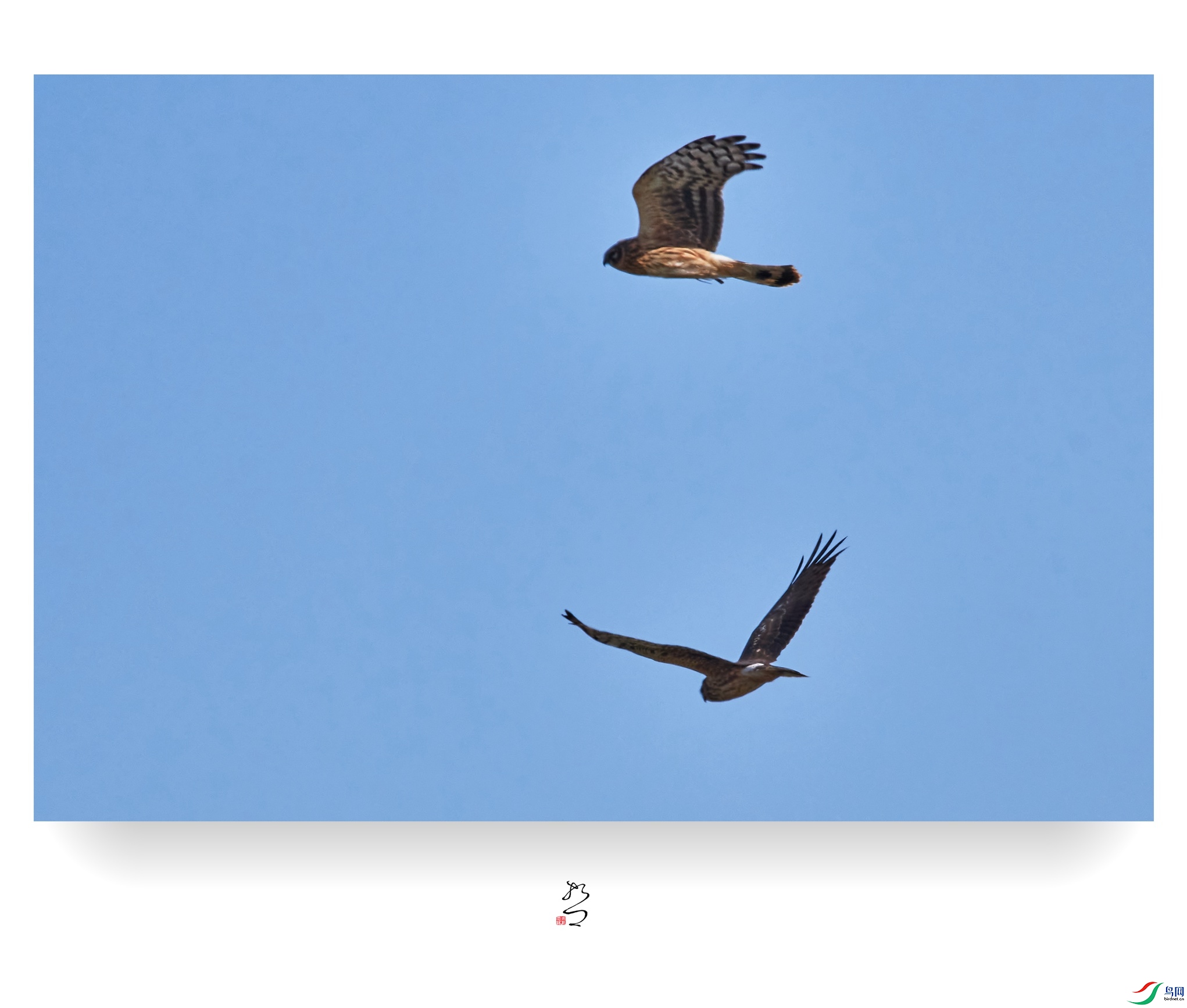 ����ʪ�� ̫ƽʪ��2022-12-11DSC_9465_����.jpg