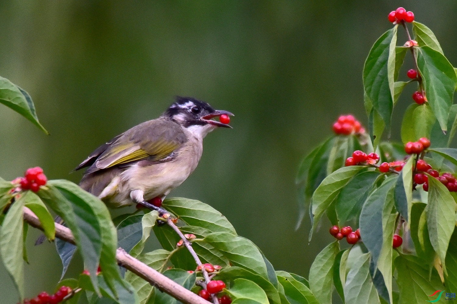 DSC_2813.JPG