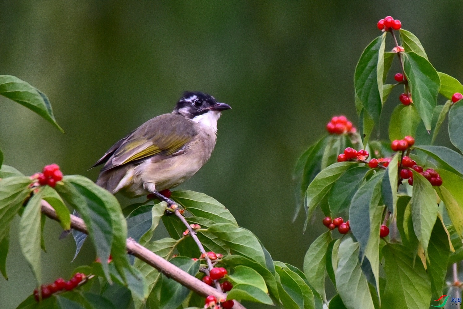 DSC_2816.JPG