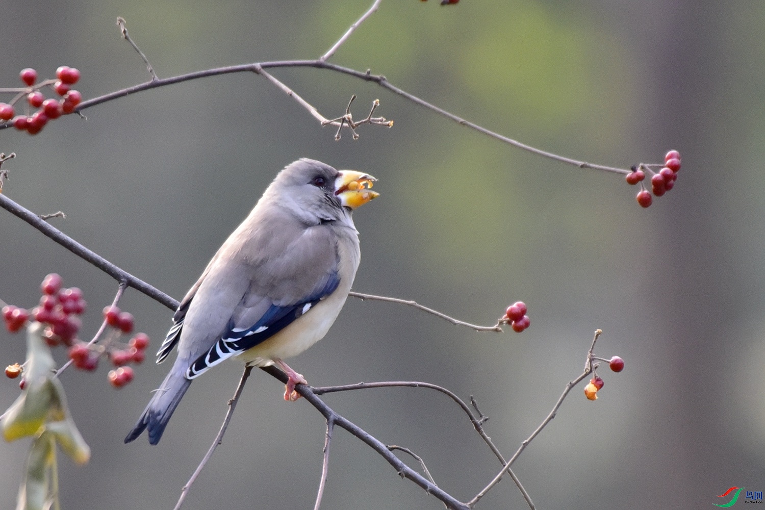 DSC_6538.JPG