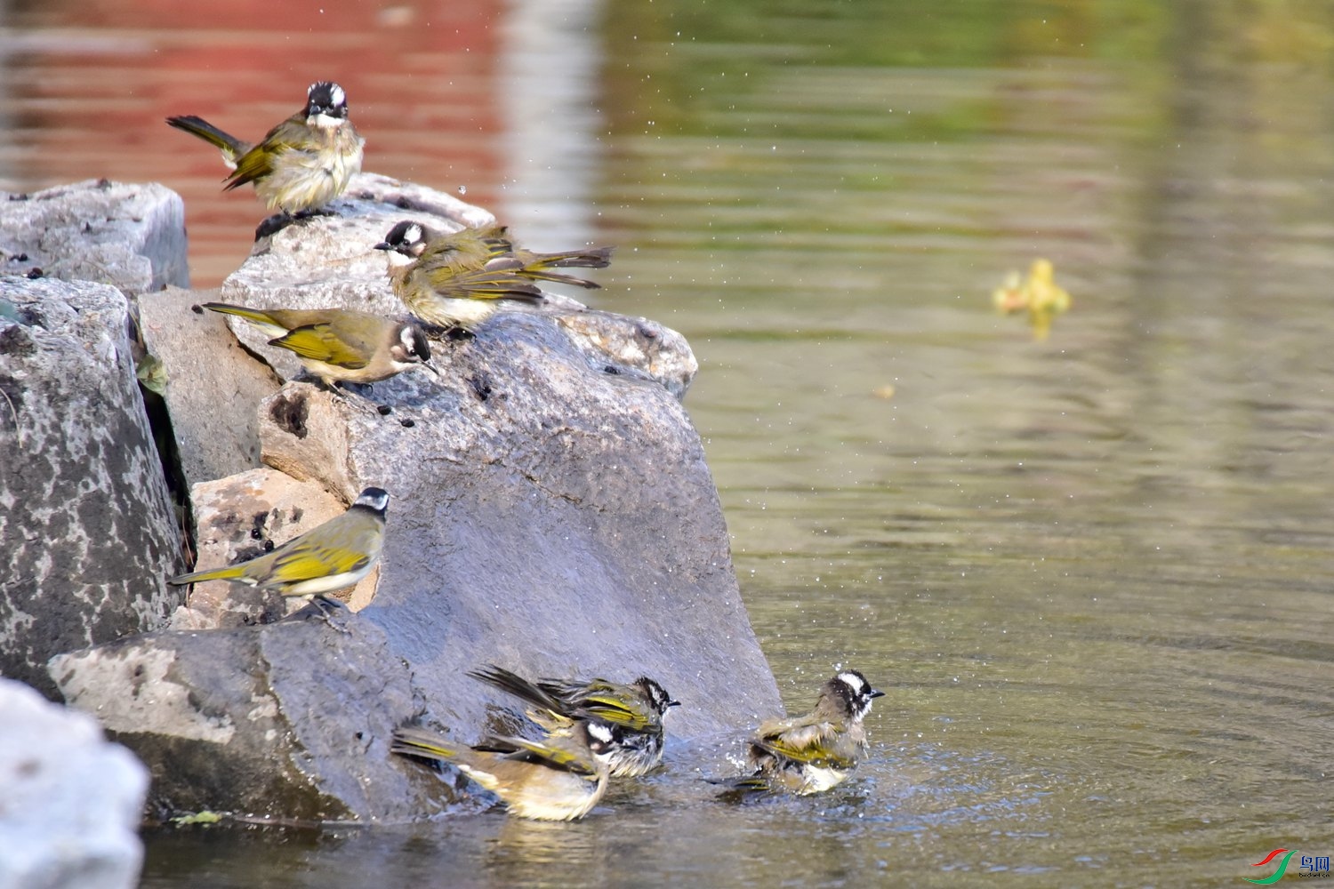 DSC_6759.JPG