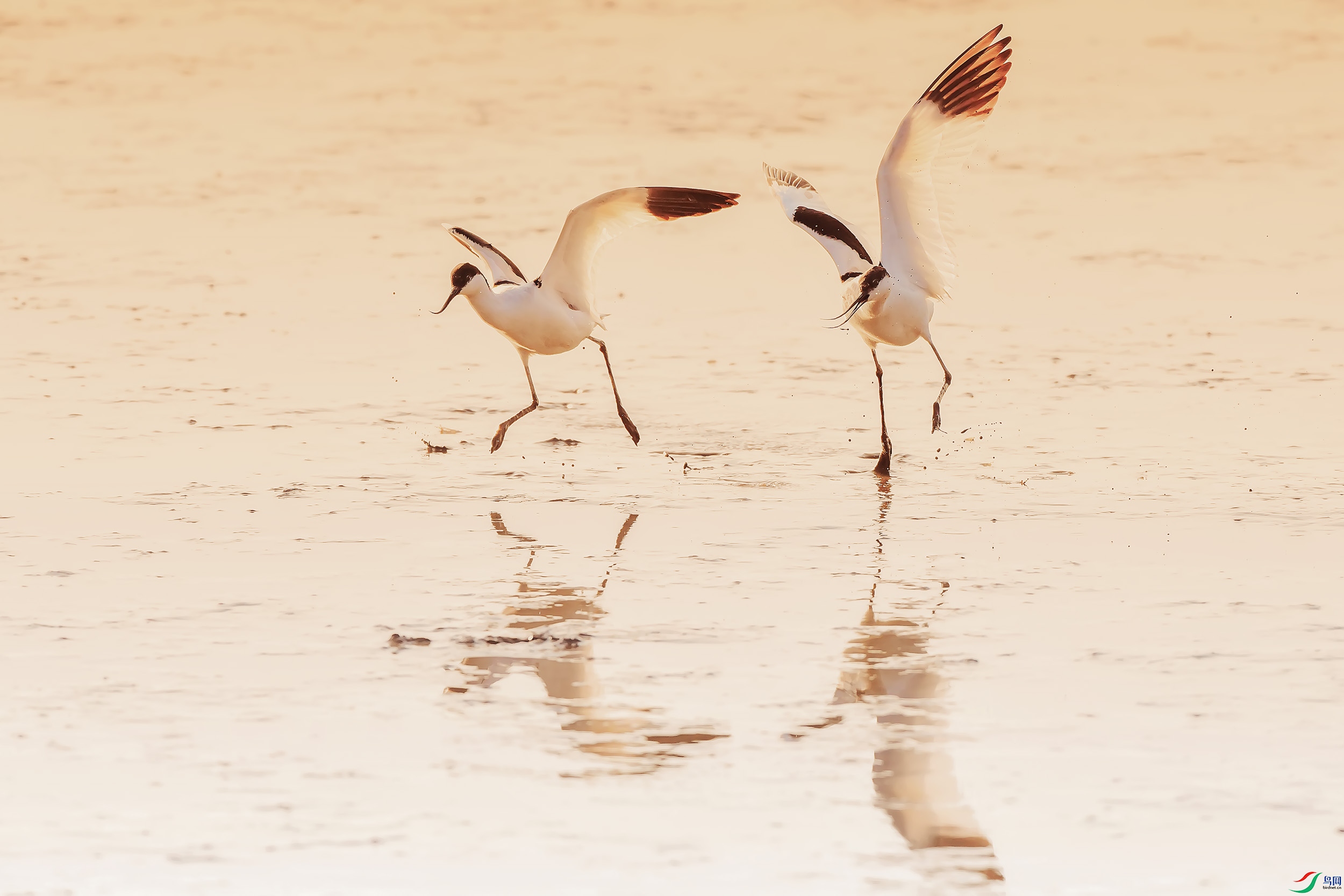 DSC_1964 ����.jpg