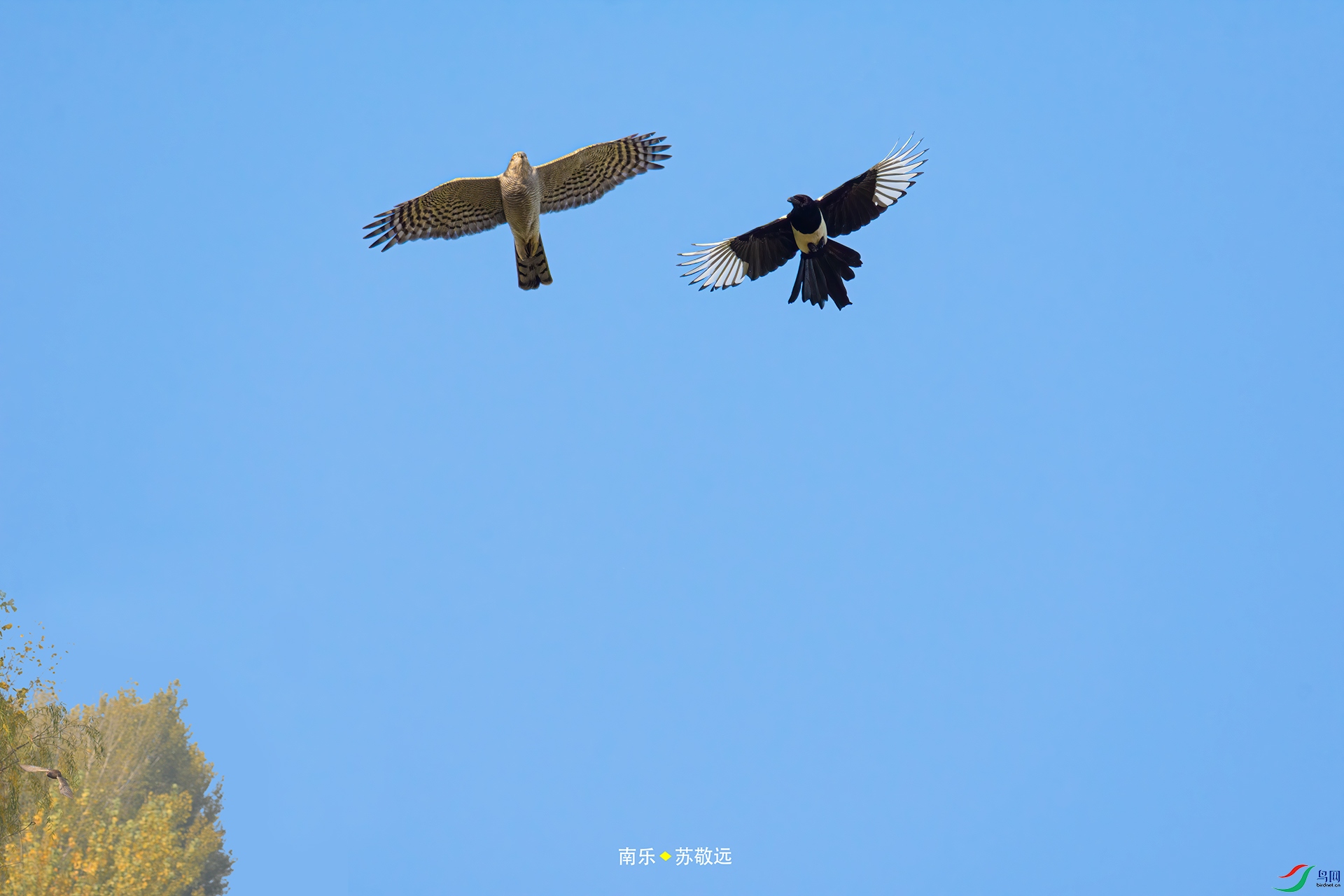 _DSC3535С.jpg