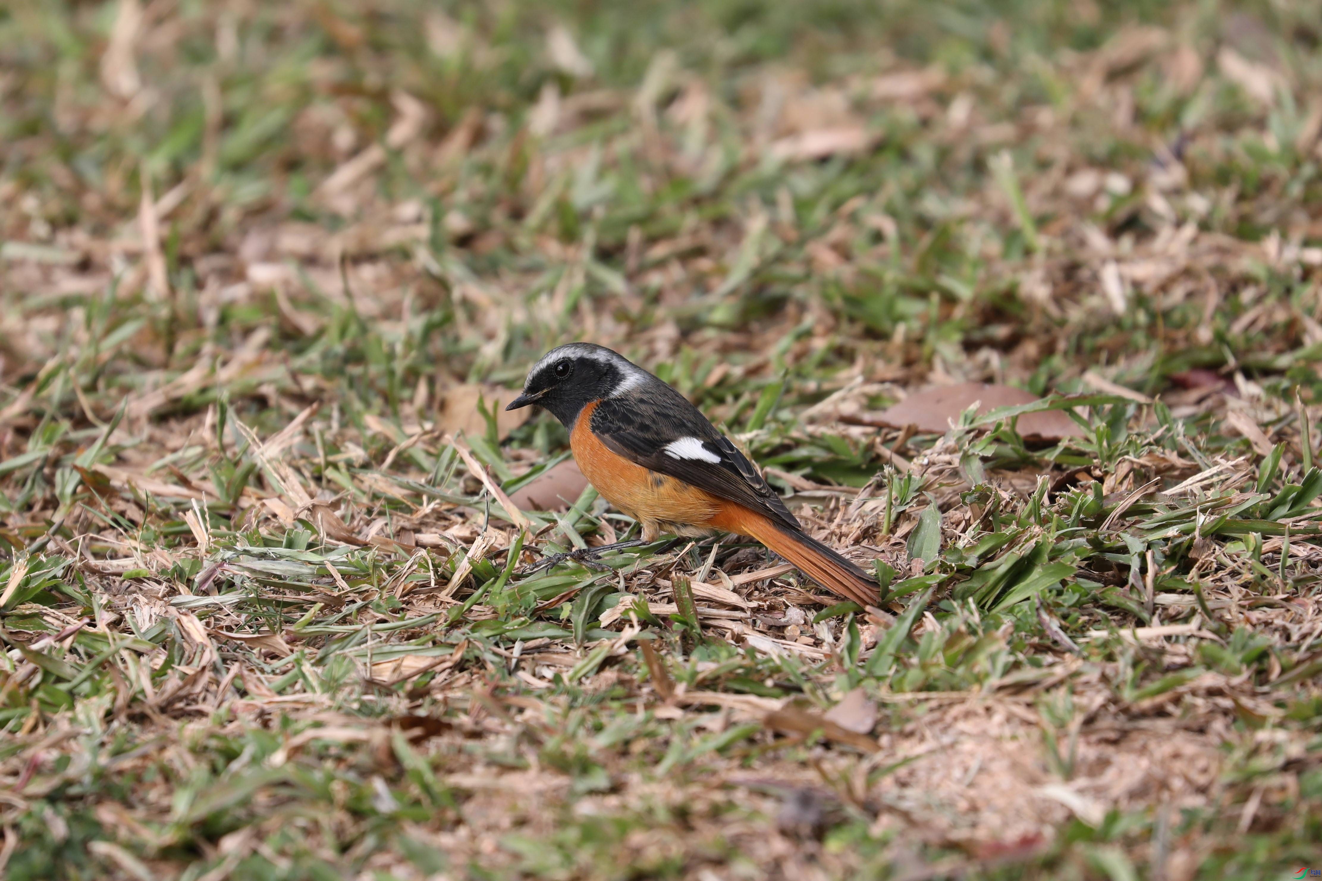 BL7A9677.JPG