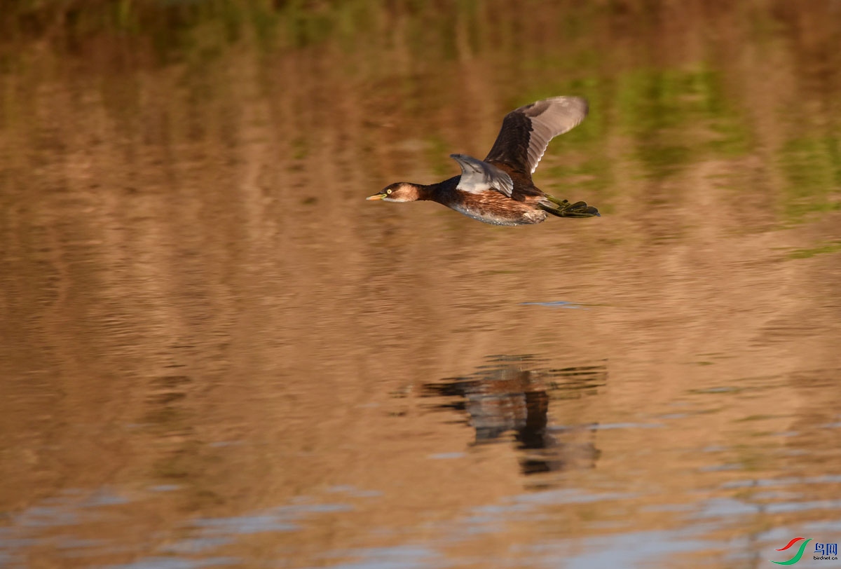 DSC_4037.JPG