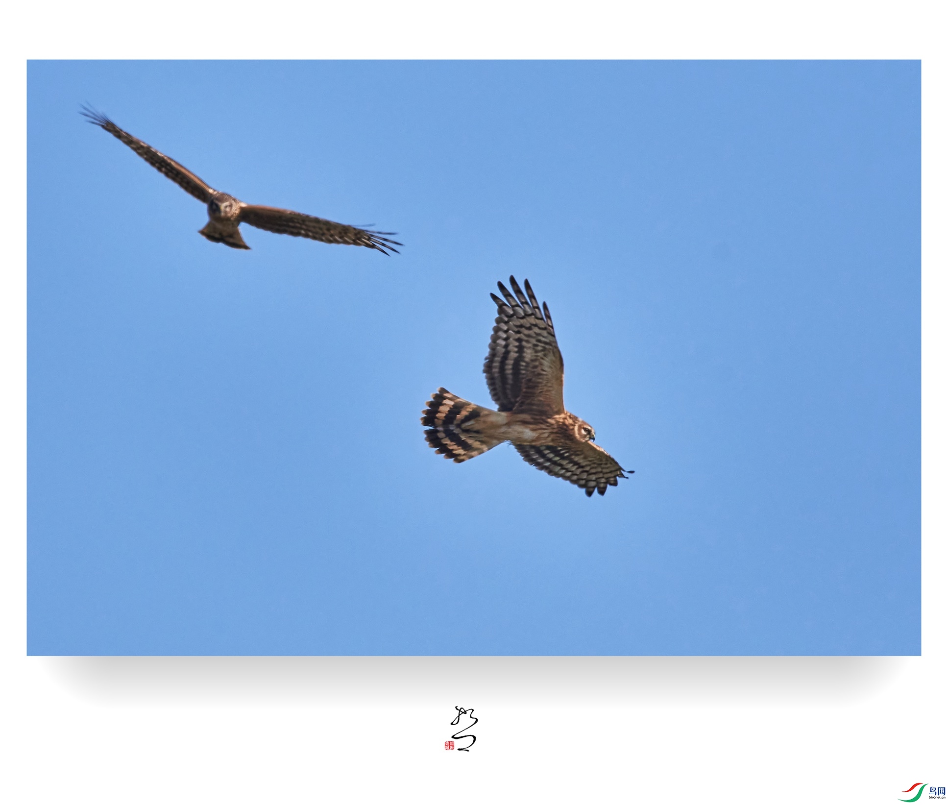 ����ʪ�� ̫ƽʪ��2022-12-11DSC_9491_����.jpg