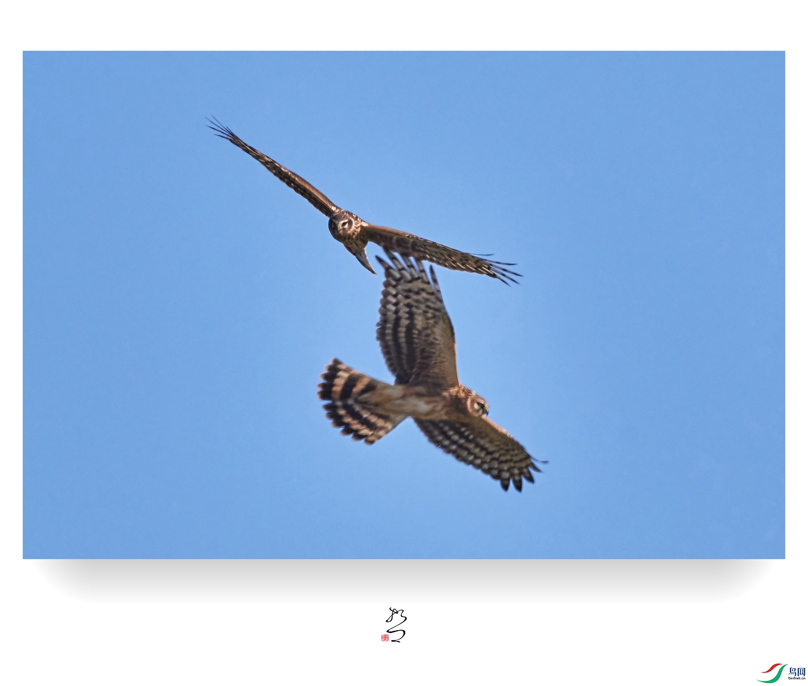 ����ʪ�� ̫ƽʪ��2022-12-11DSC_9490_����.jpg