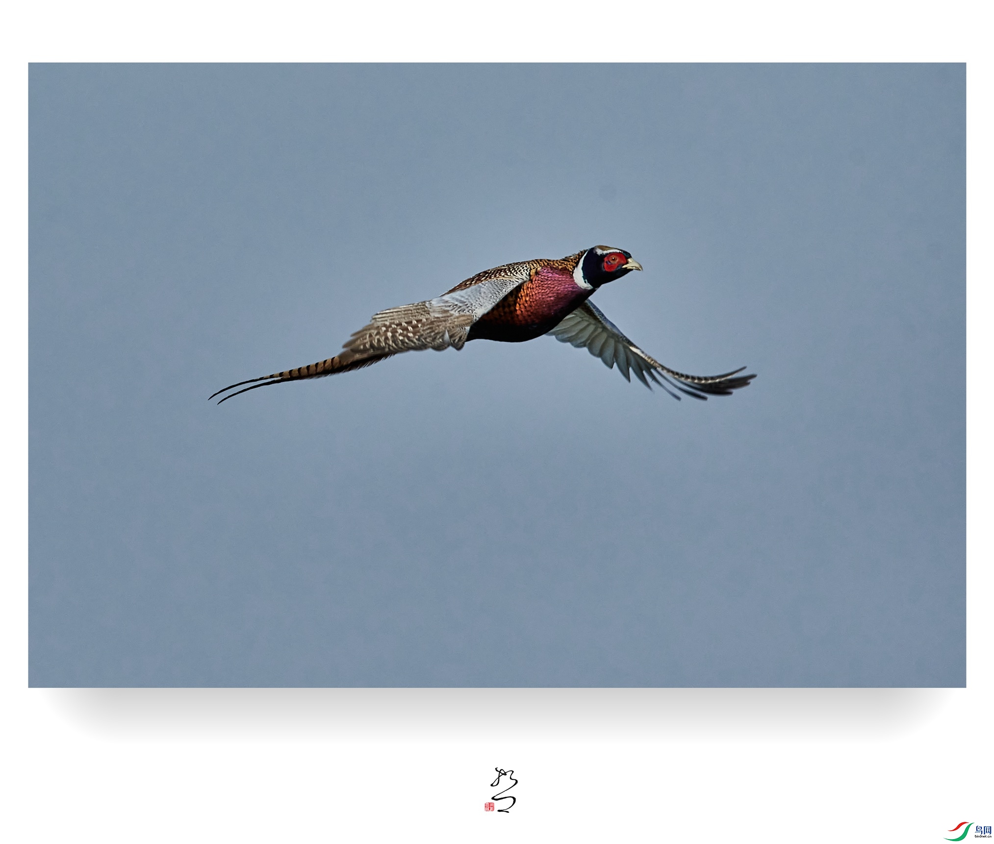 ����ʪ�� ̫ƽʪ��2022-12-11DSC_0018_����.jpg