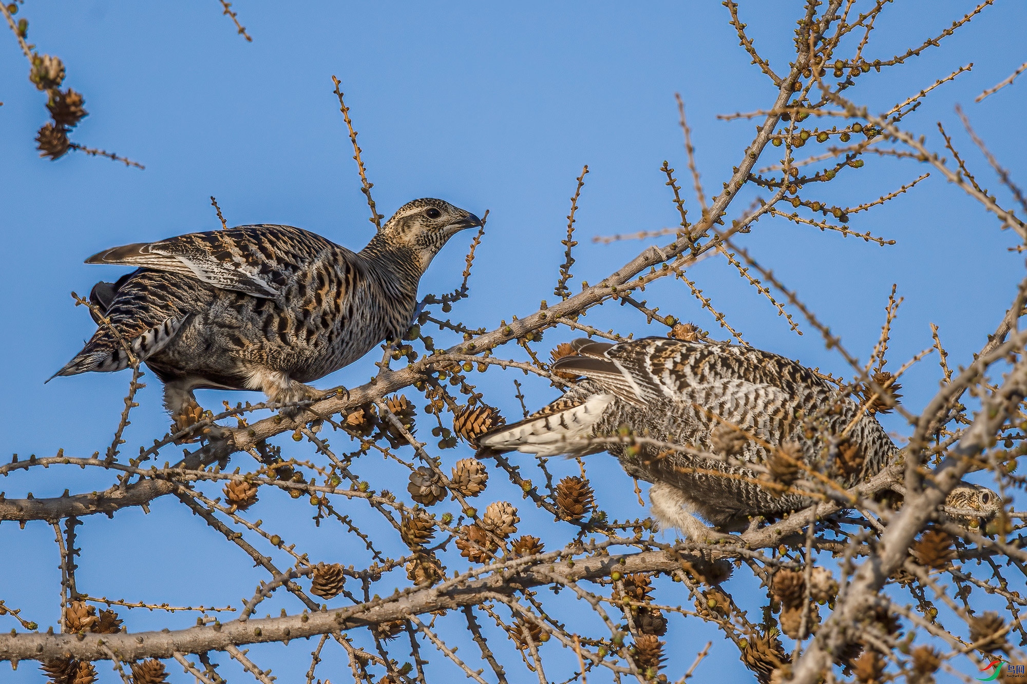 DSC_0713.jpg