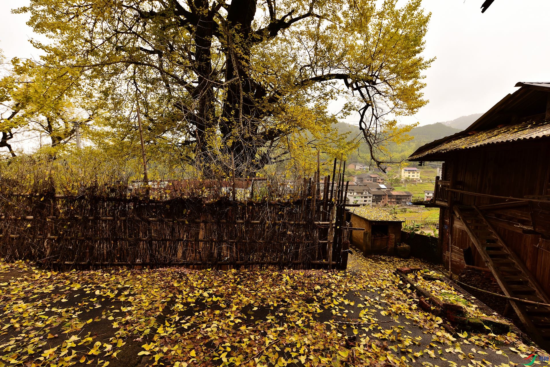 D8I_8765.jpg