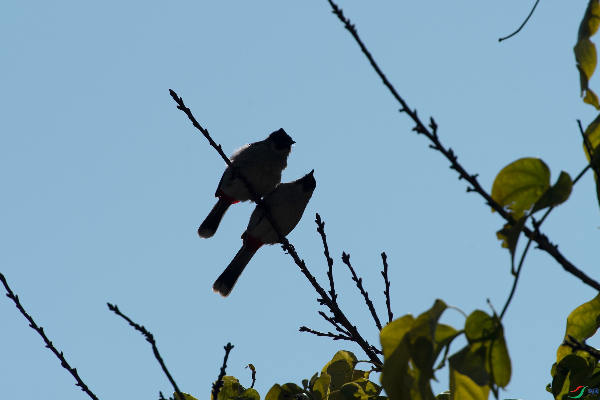 DSC_6209-12.jpg