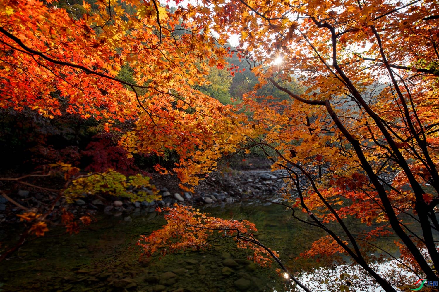 0S9A9408 ����.jpg