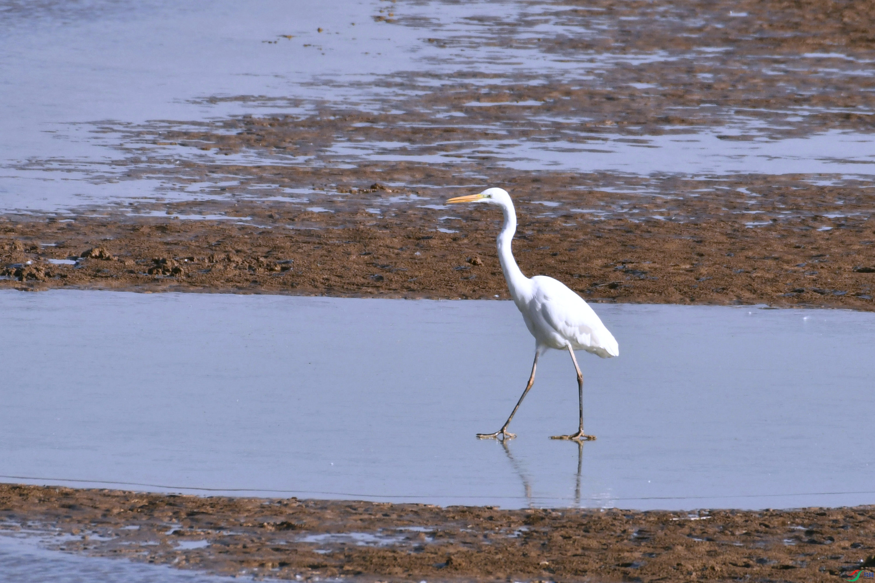 DSC_5046.JPG