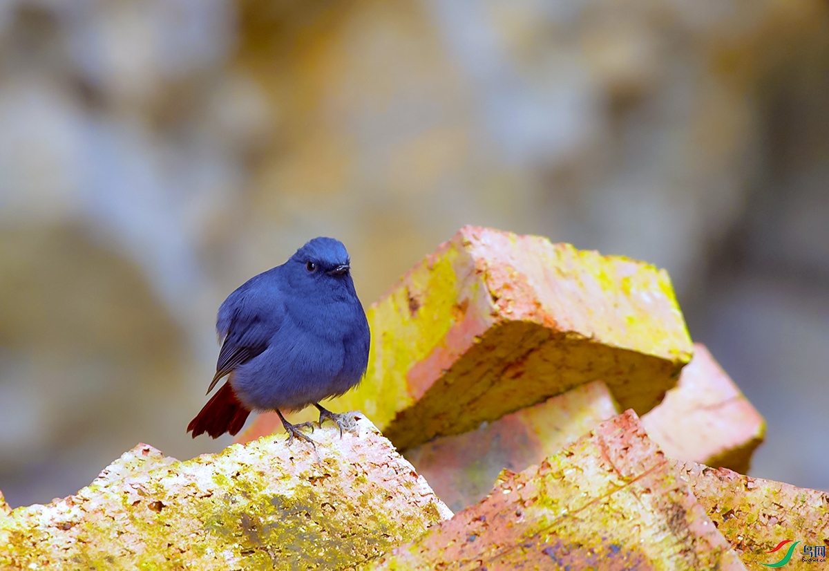 DSC_0215.JPG