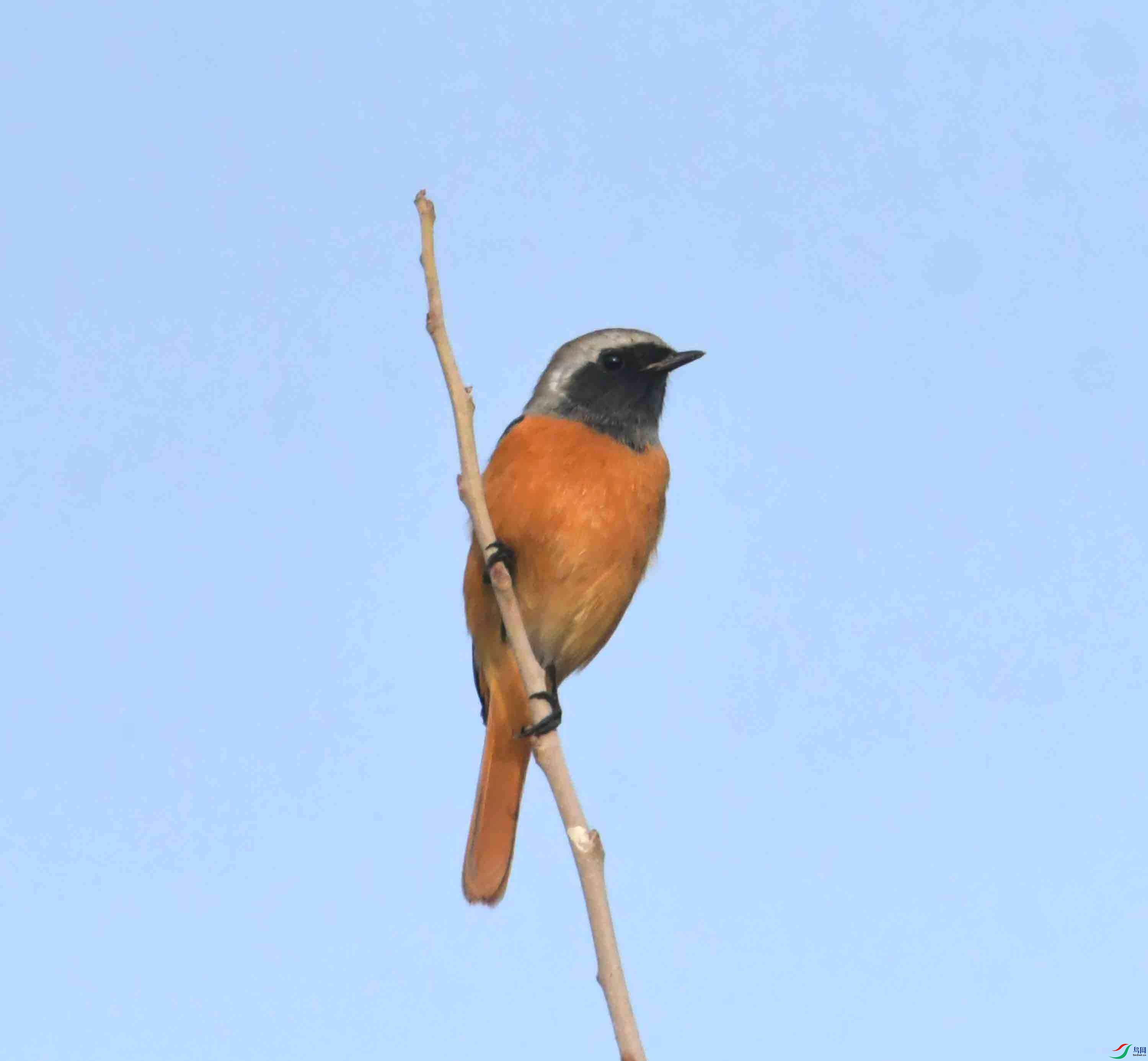 DSC_0495.JPG
