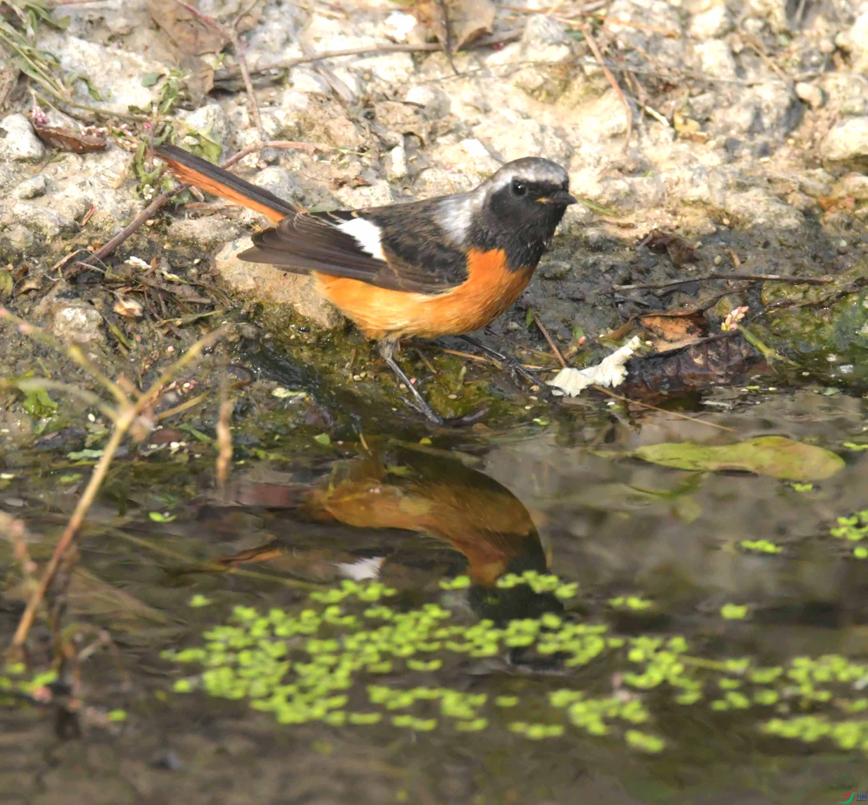 DSC_8492.JPG