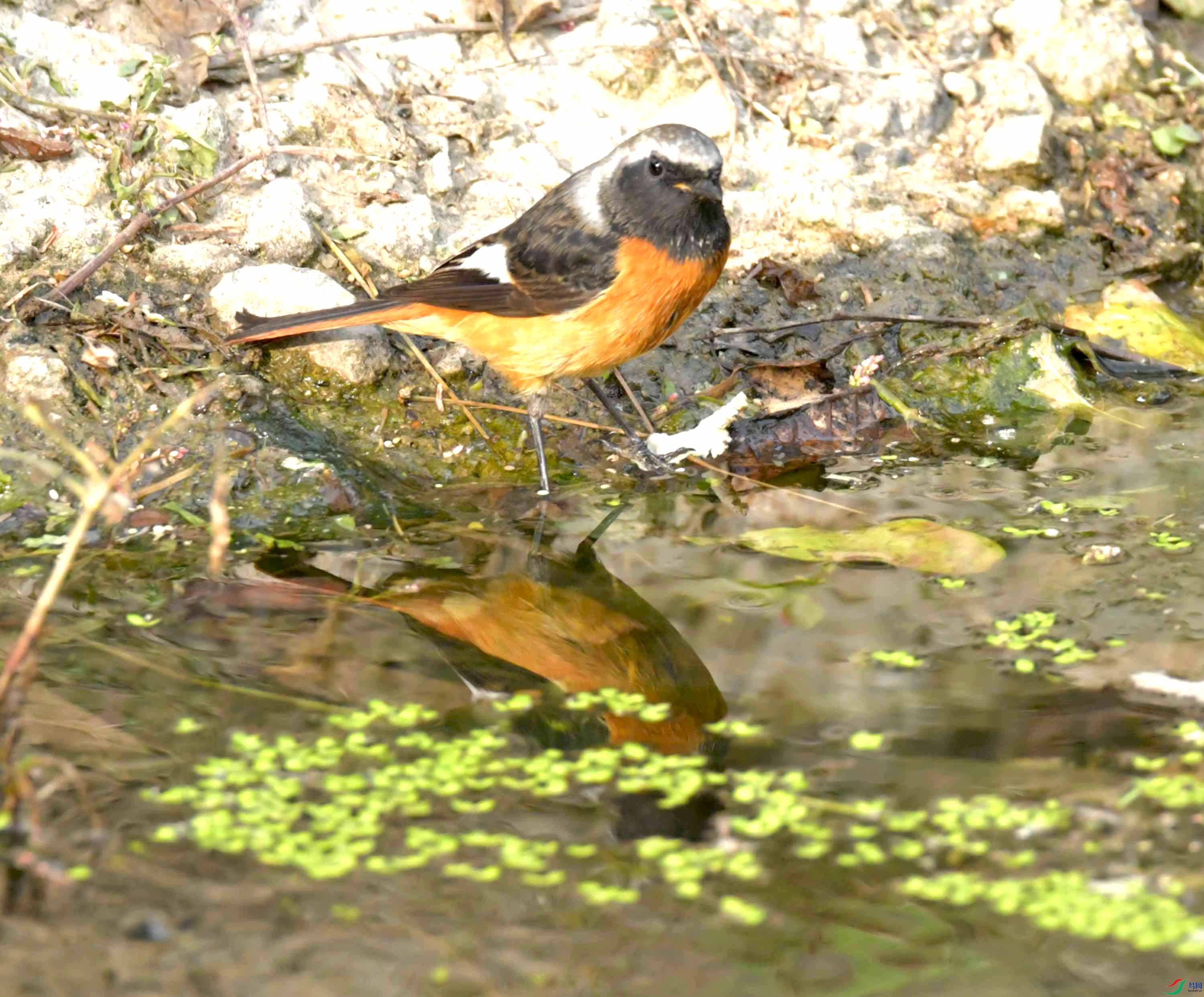 DSC_8495.JPG