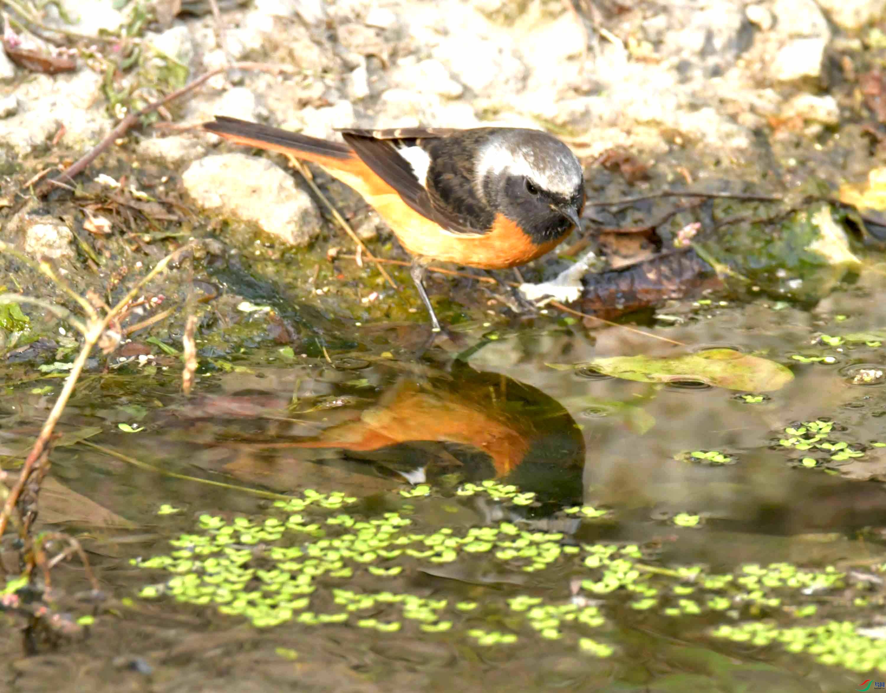 DSC_8497.JPG