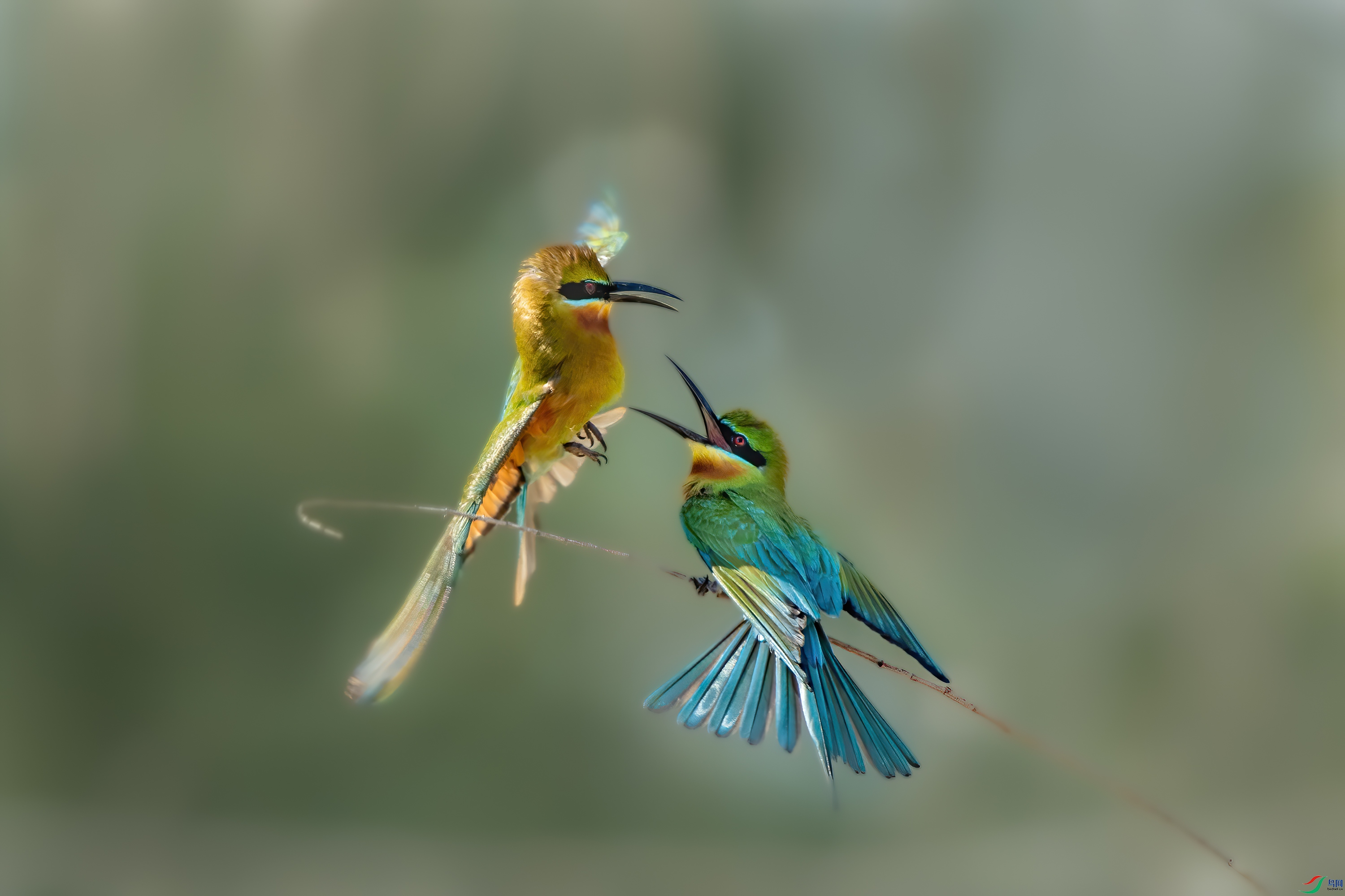 DSC_7575px_1.jpg