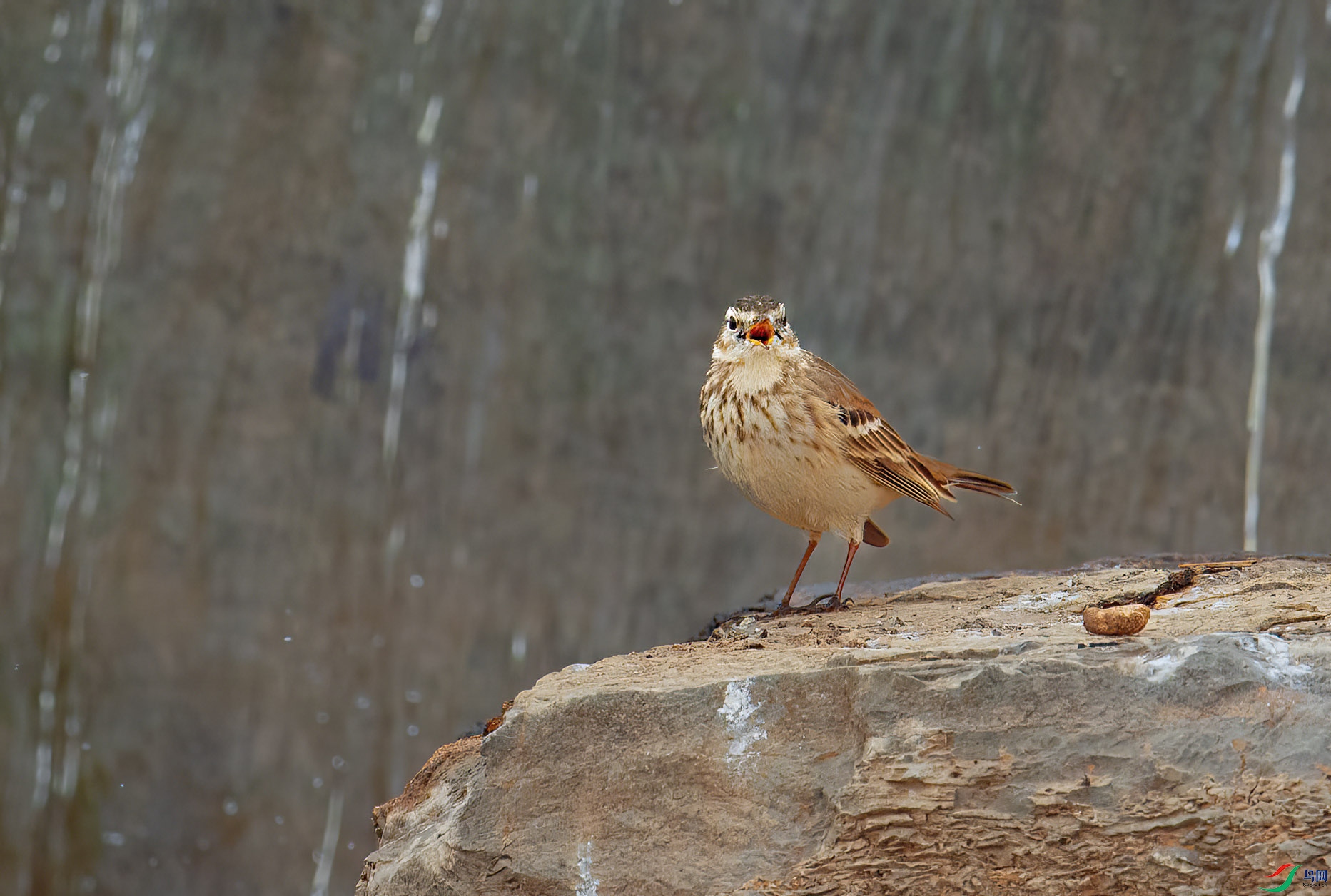 DSC_4685 -1.jpg