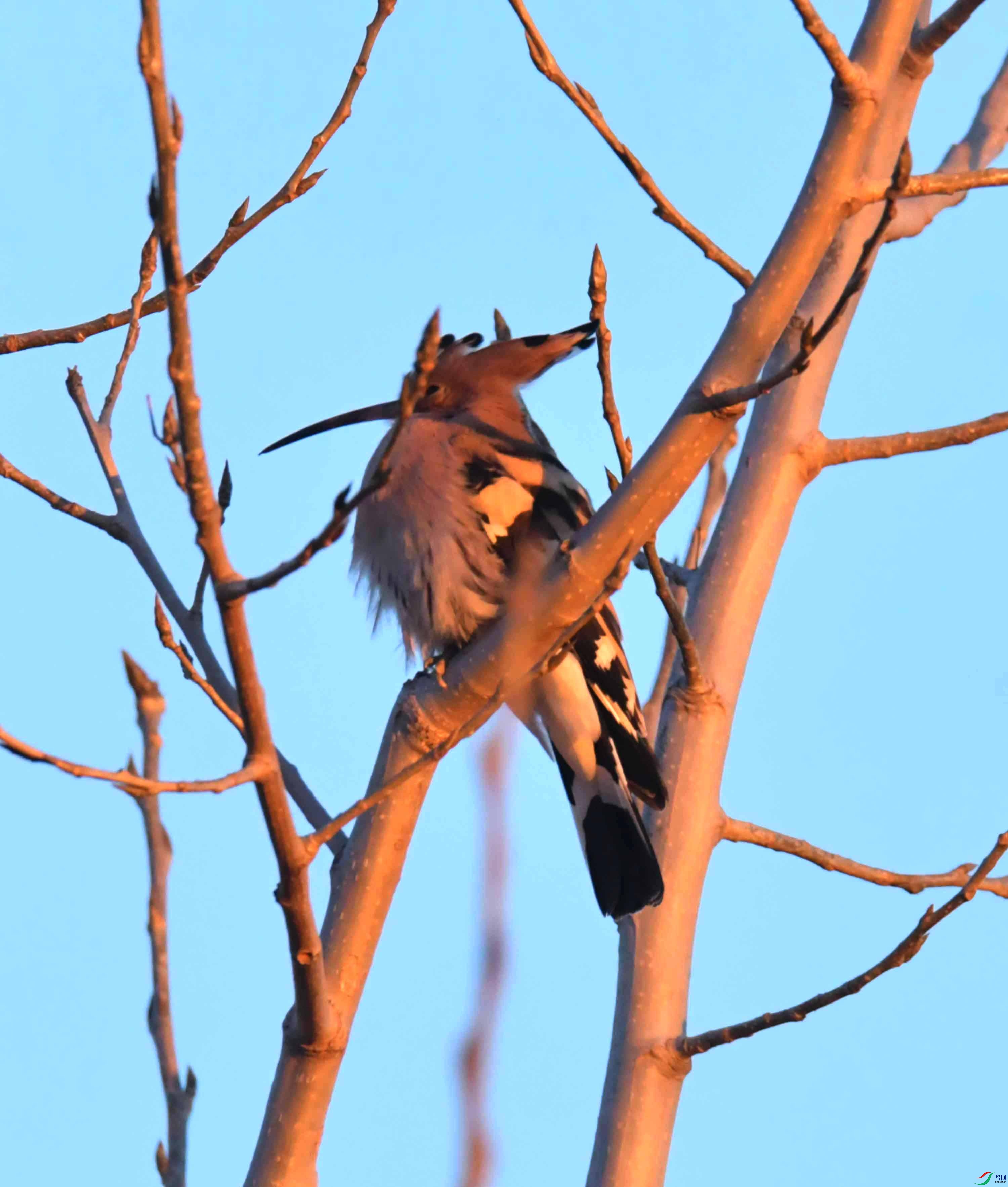 DSC_3903.JPG