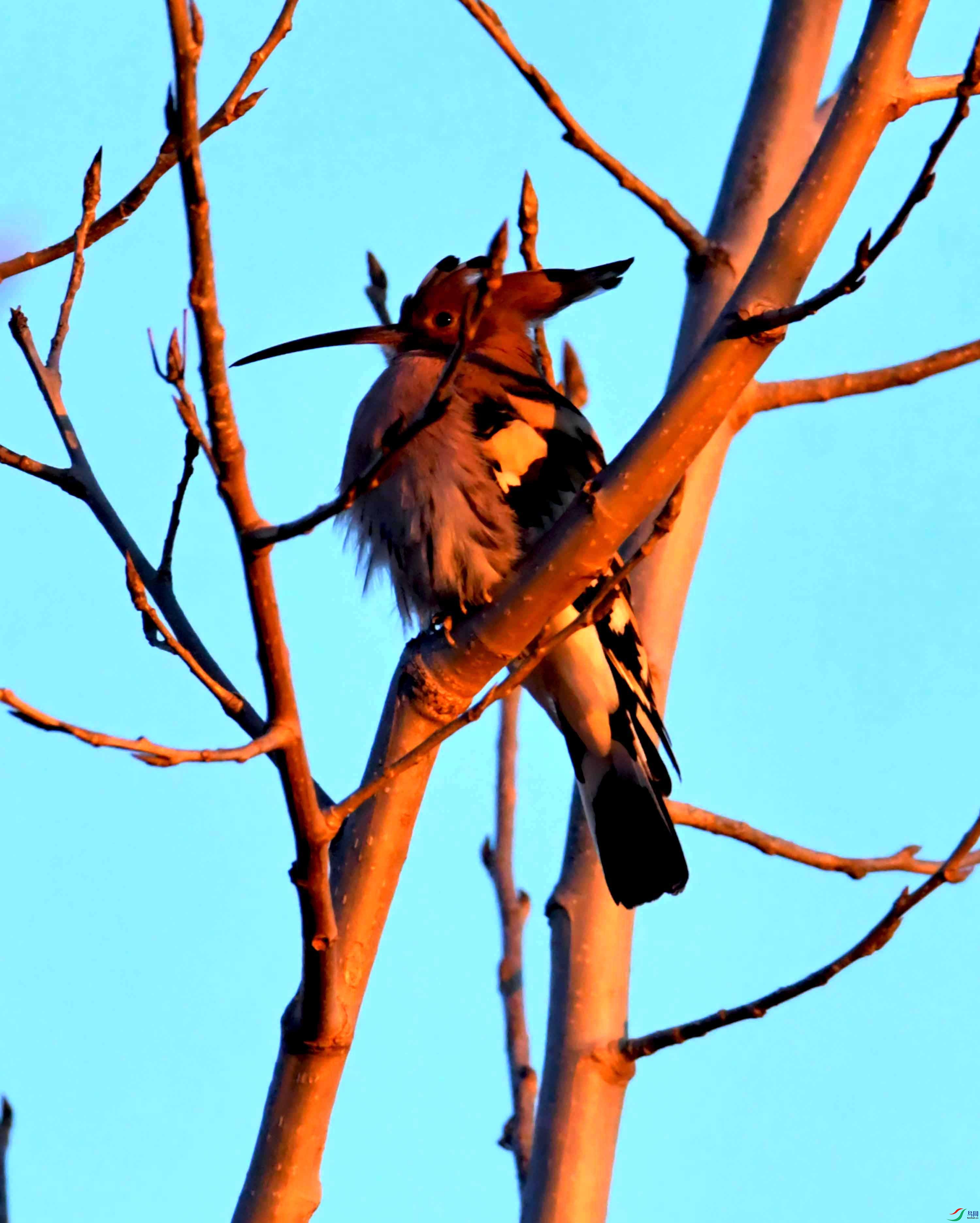 DSC_3917.JPG