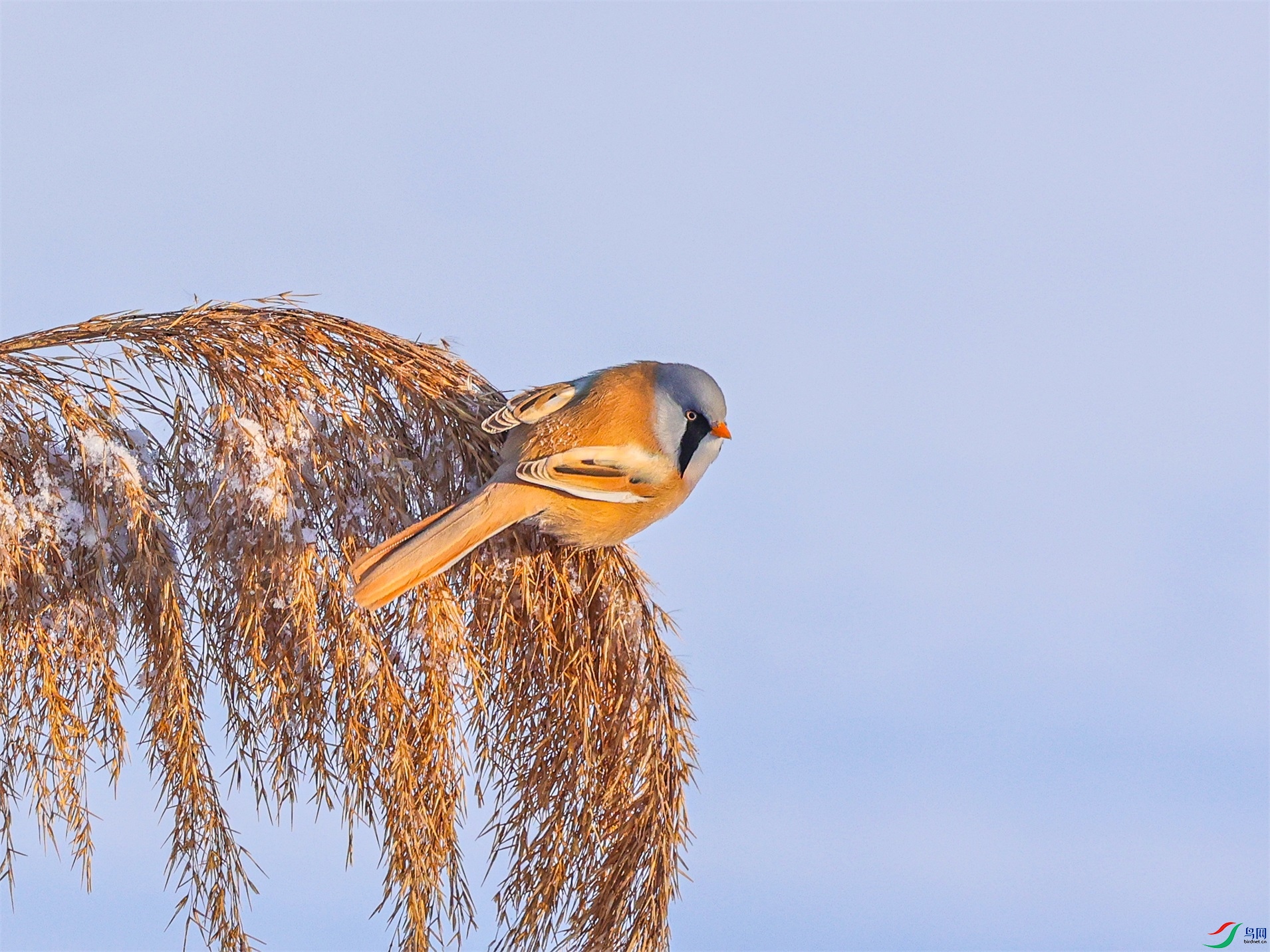 1K3A0633 ����1.jpg