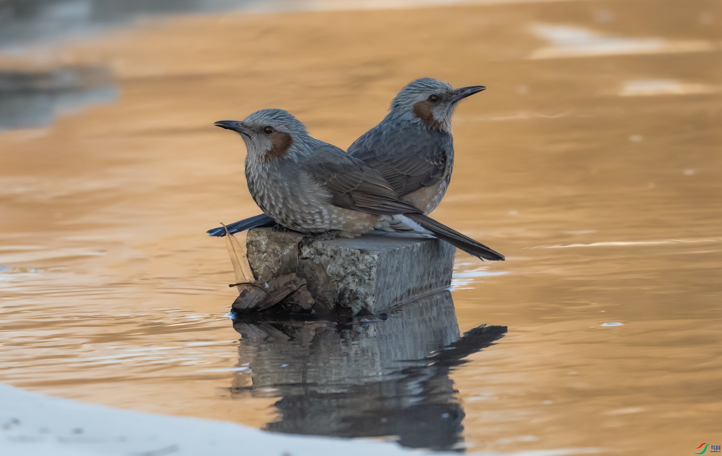 �����̽���