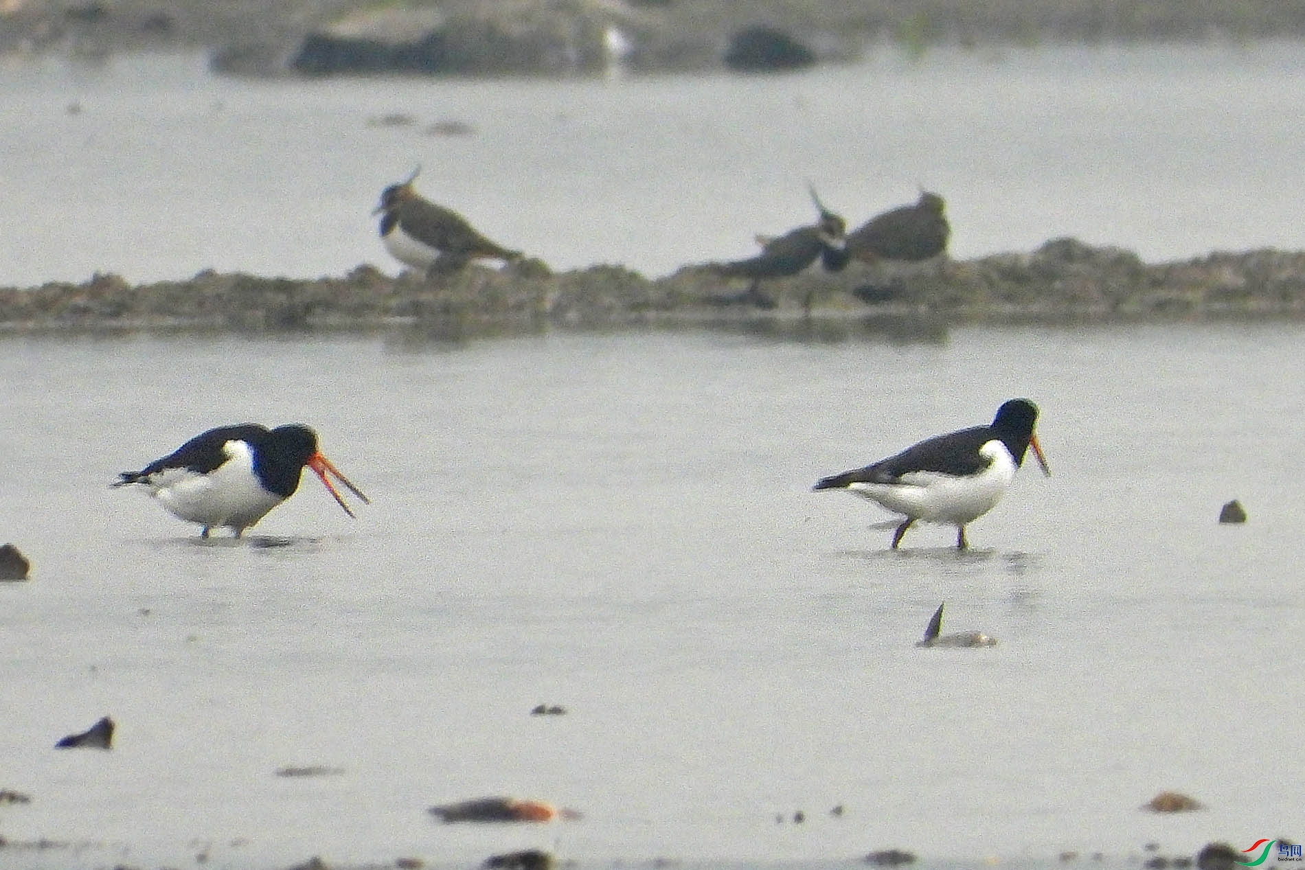 DSCN1552.jpg