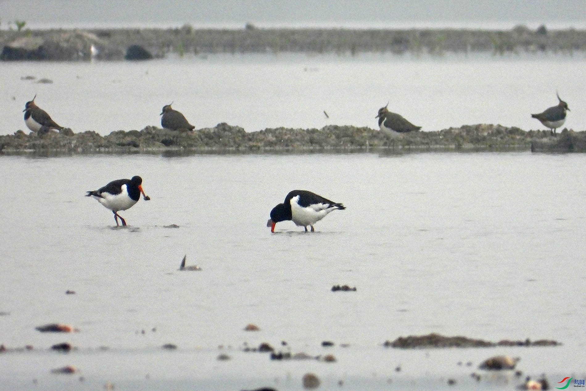 DSCN1570.jpg