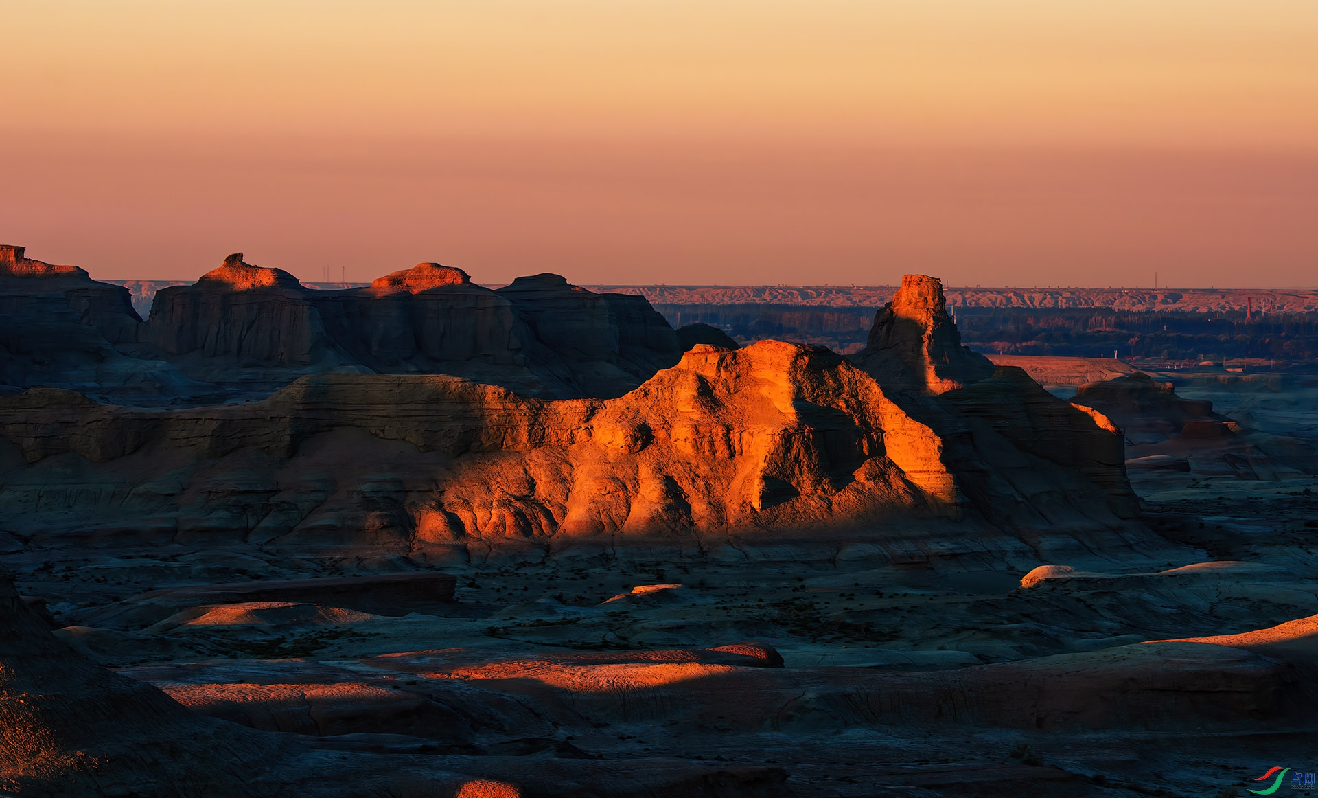 _DSC8340-NEF_DxO_DeepPRIME - ħ����.jpg