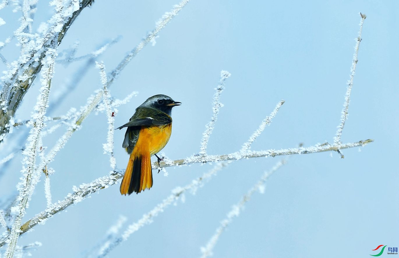 DSC_3418.JPG