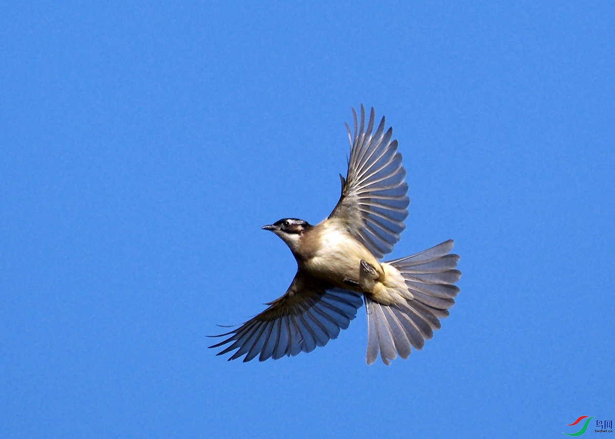 DSCF7756.JPG