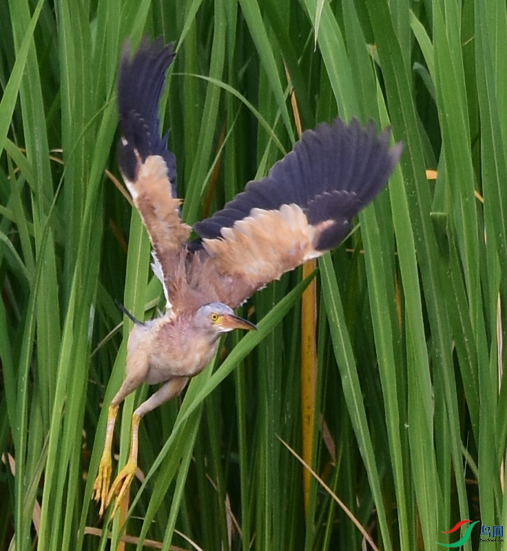 DSC_0379.JPG