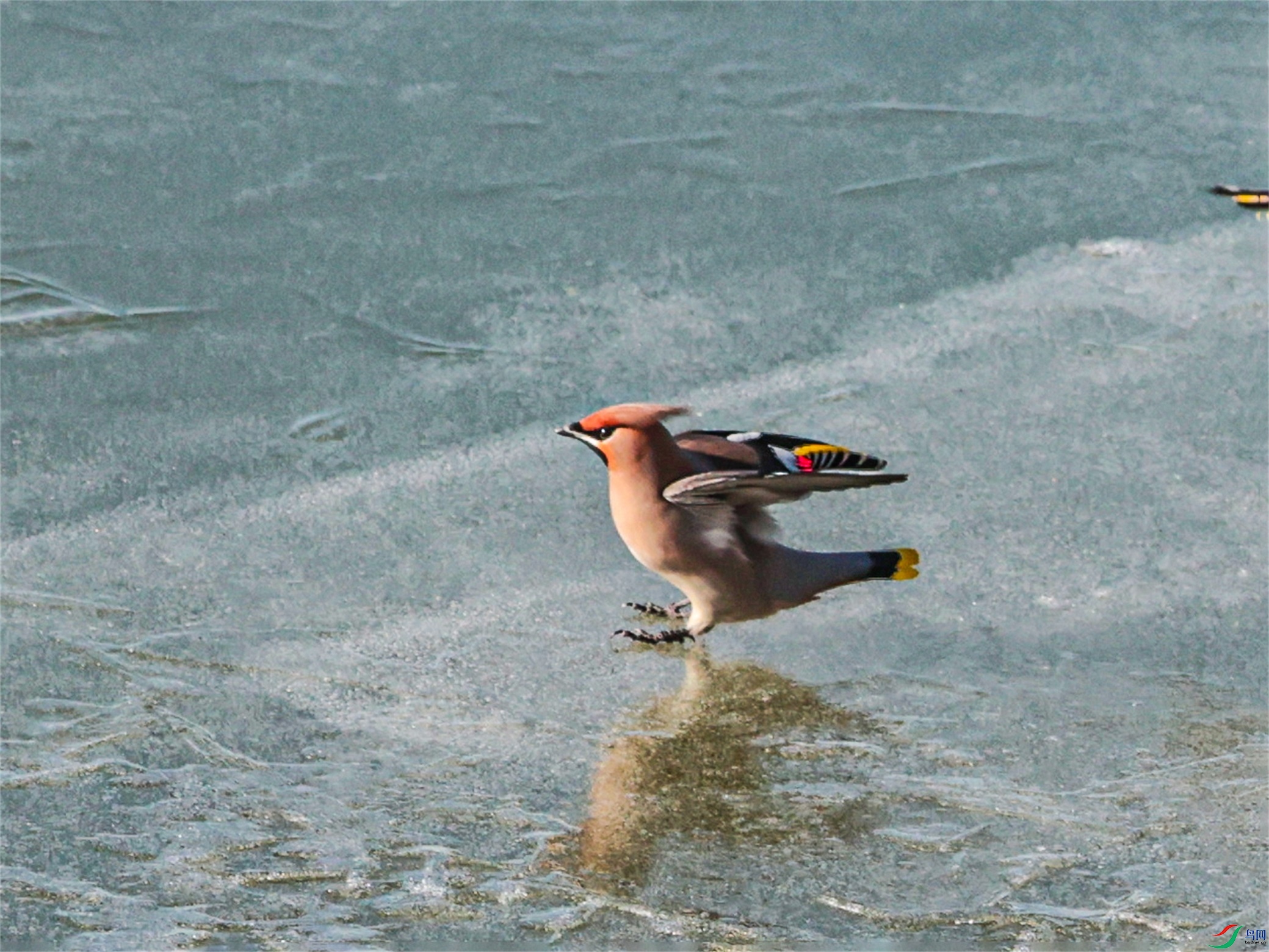 1K3A9507 ����1.jpg