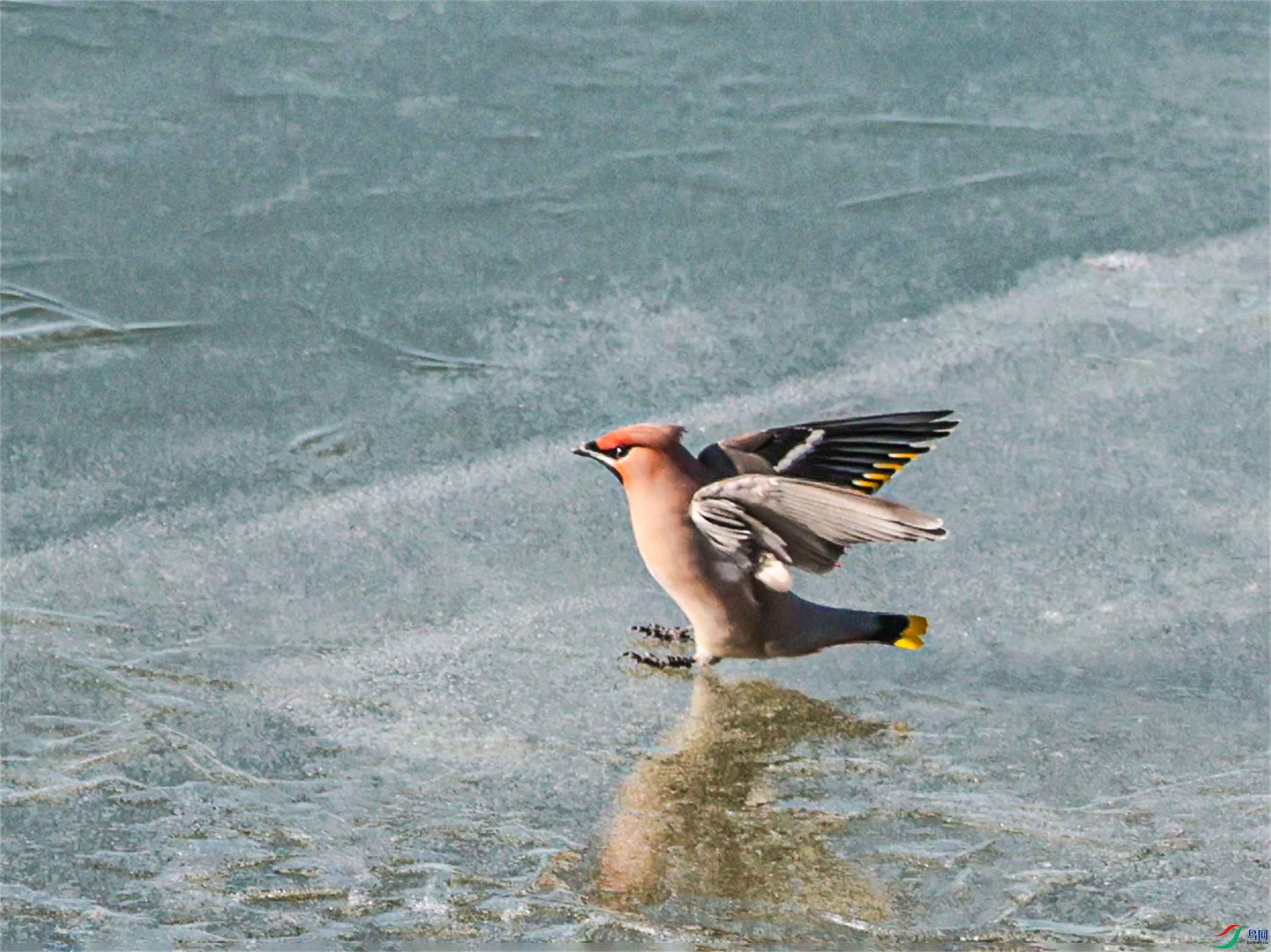 1K3A9506 ����1.jpg