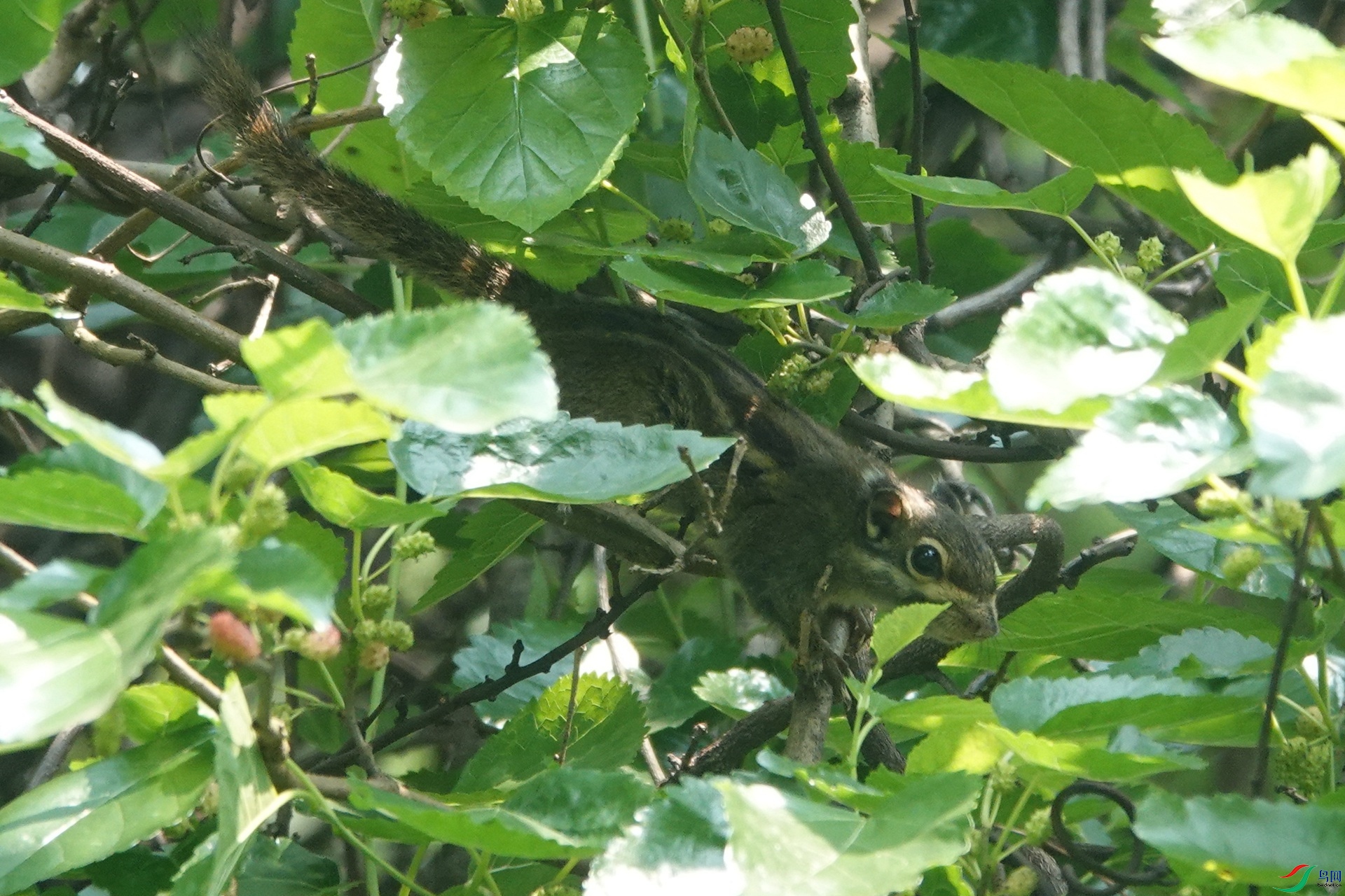 24S (81)_����.jpg