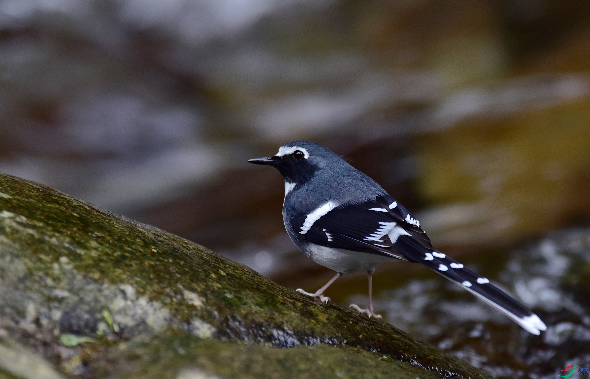 D8I_0484.jpg