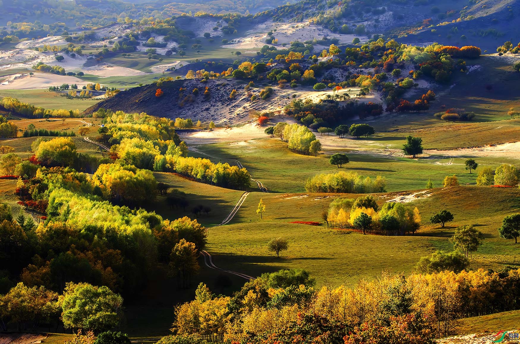 _DSC5138-NEF_DxO_DeepPRIME - �����ﾰ.jpg