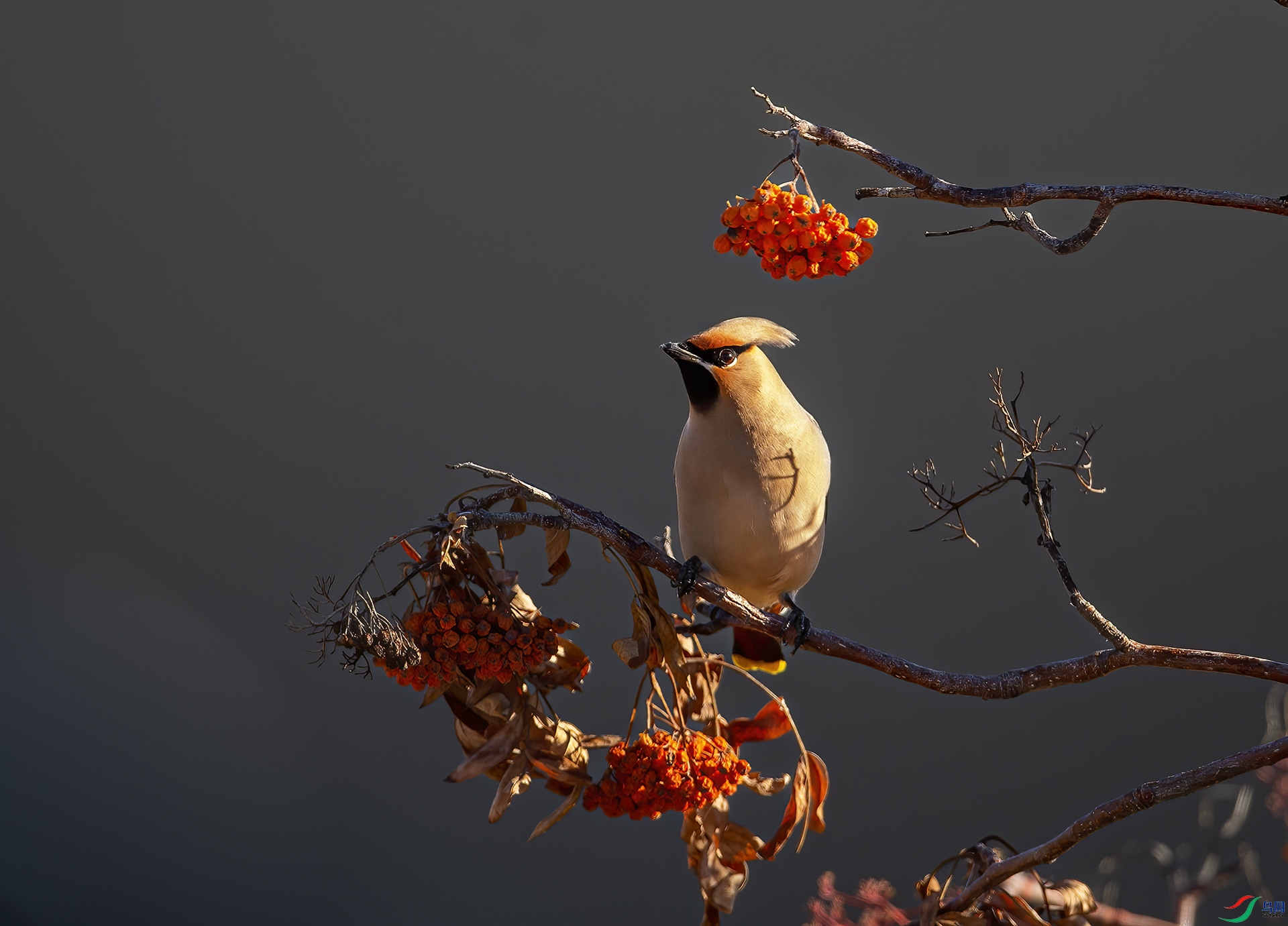 DSC_2810122.jpg