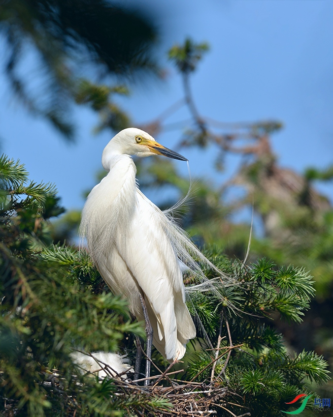DSC_0425_DxOa.jpg
