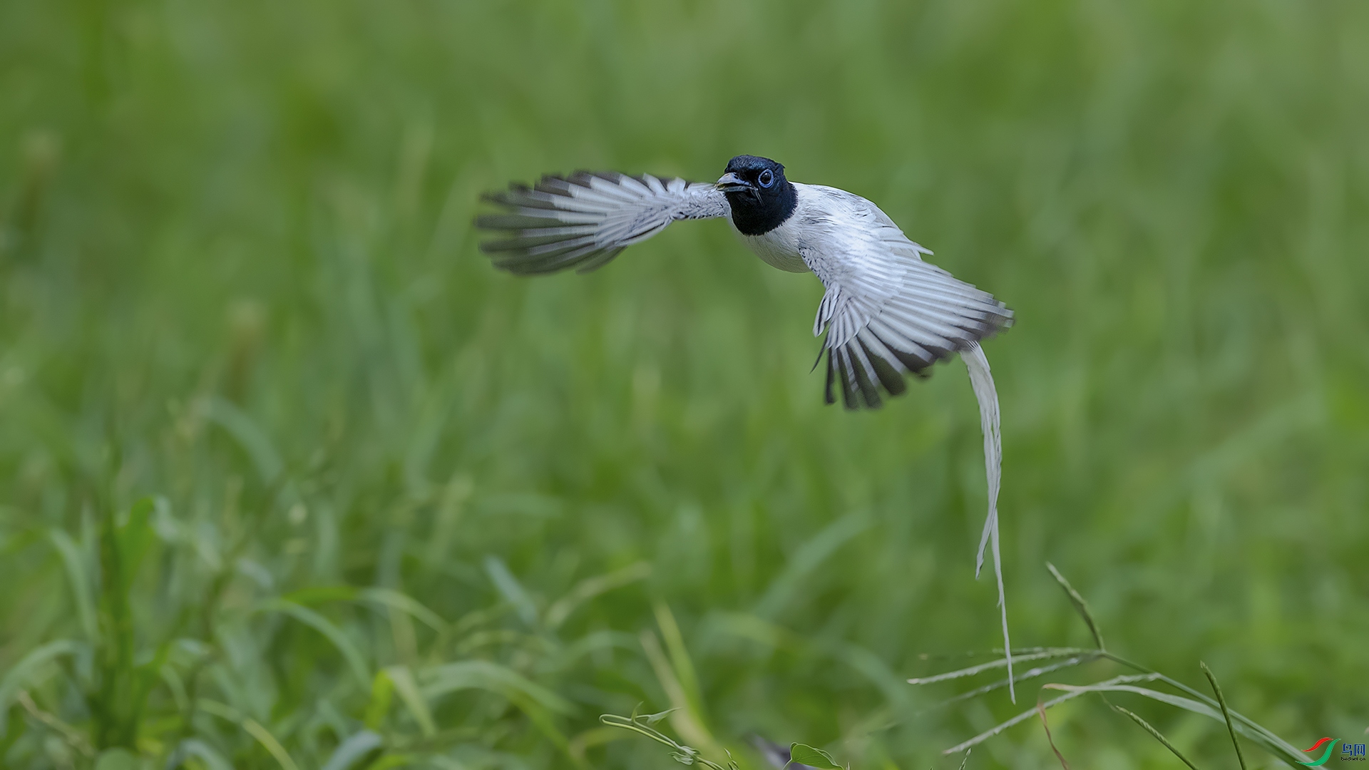 �ڷɵ��ٴ���