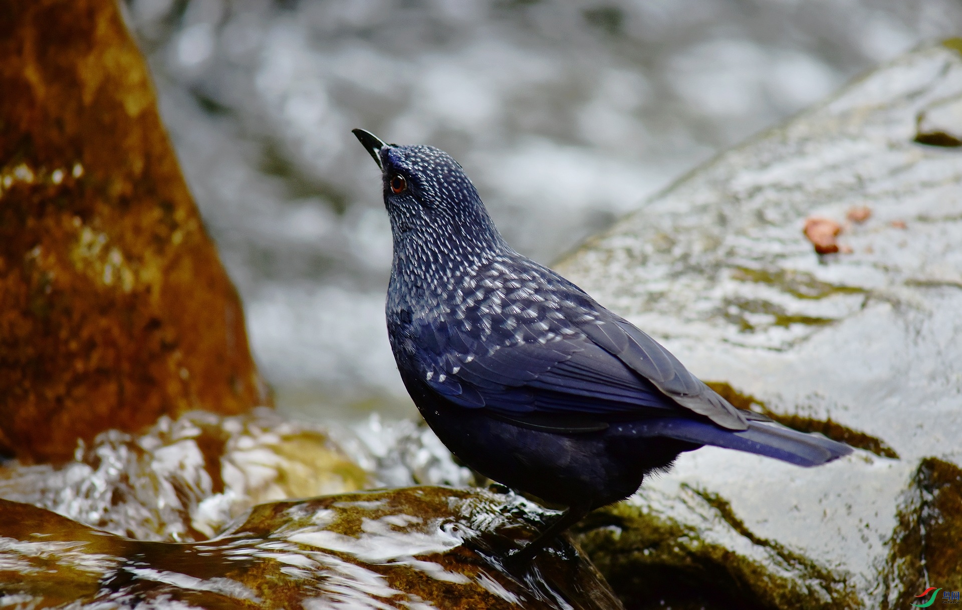 D8I_1257.jpg