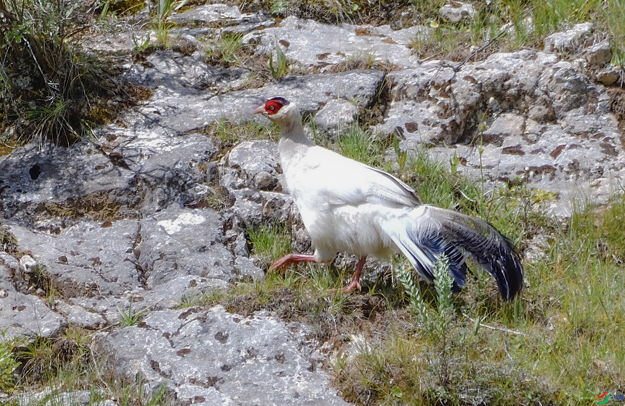 _DSC9614.JPG