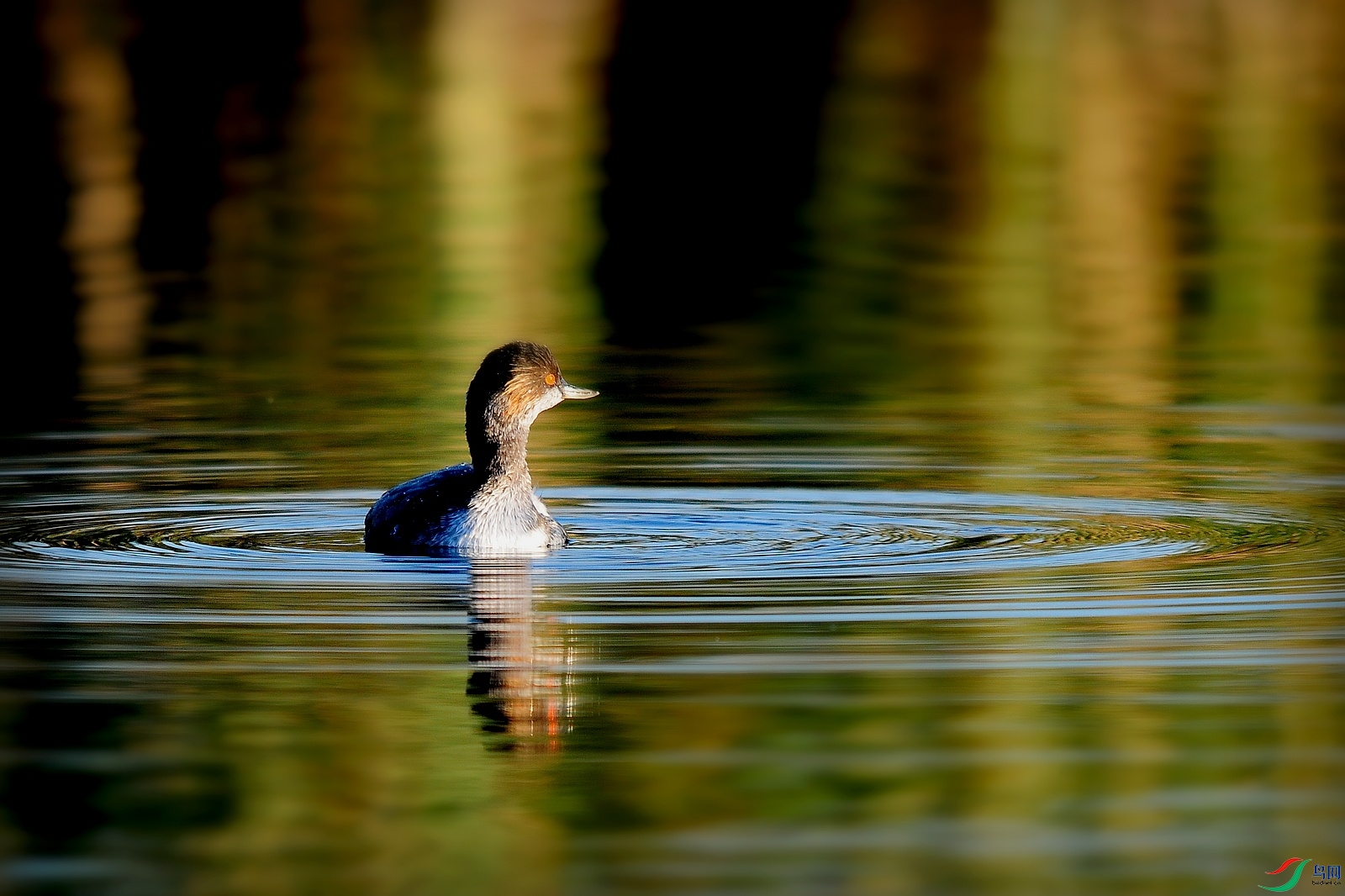 DSC_0834.JPG