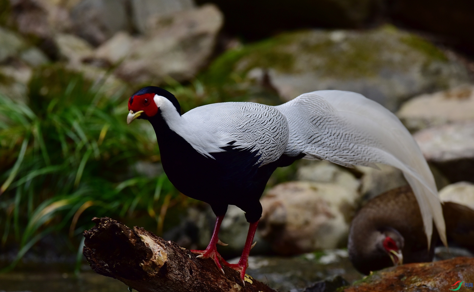D8I_0155.jpg
