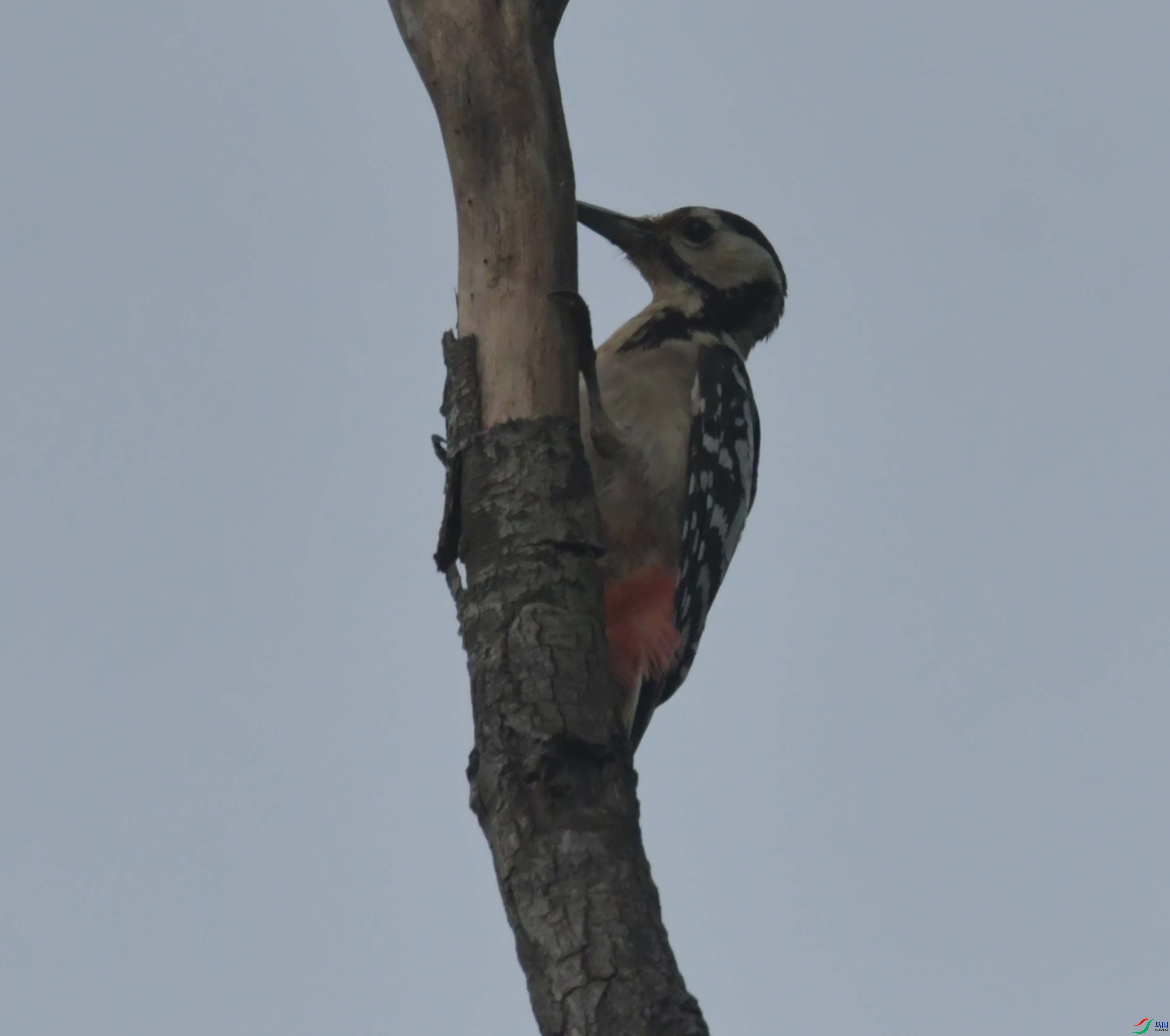 DSC_0028.JPG