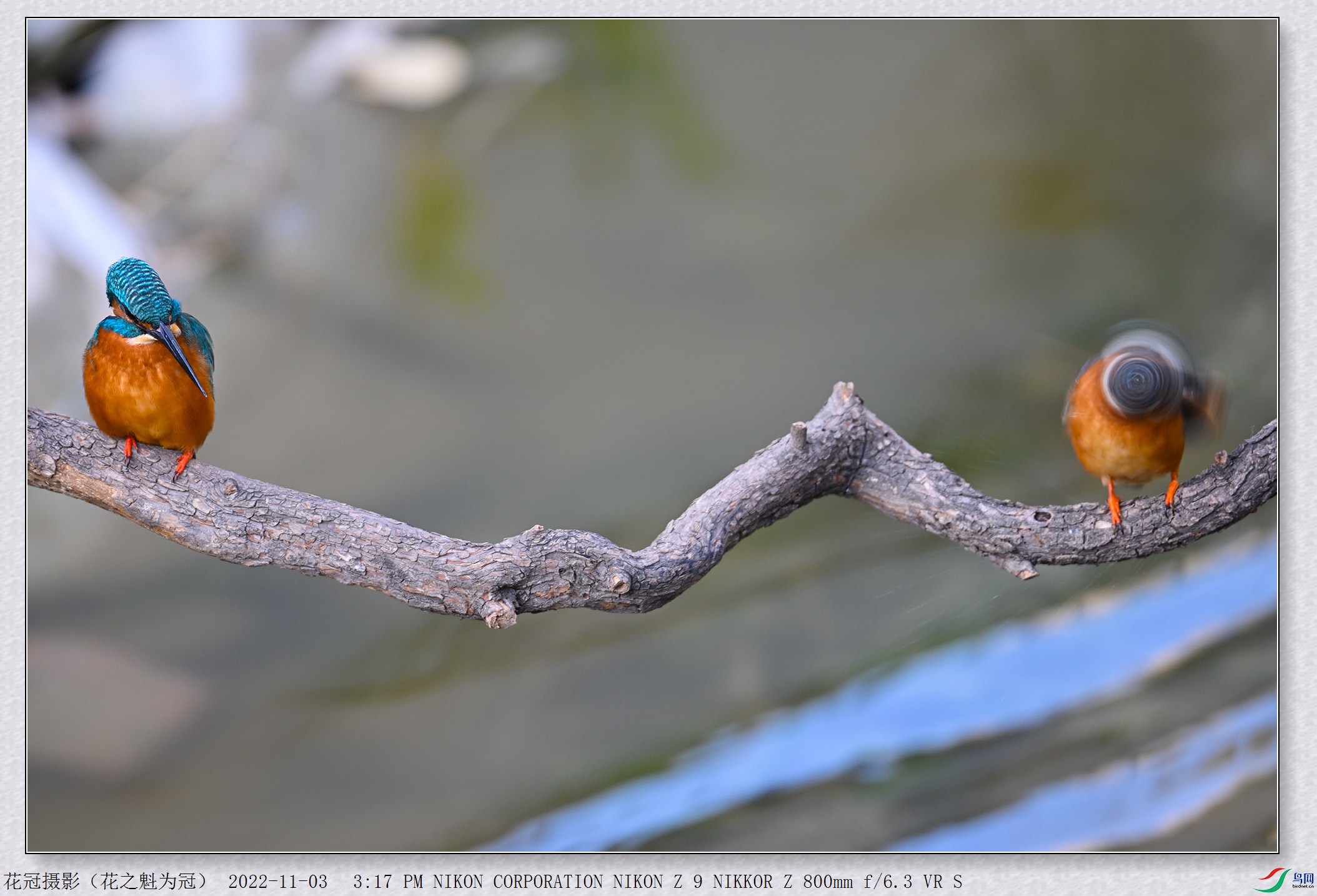 DSC_7260B-1_����.jpg
