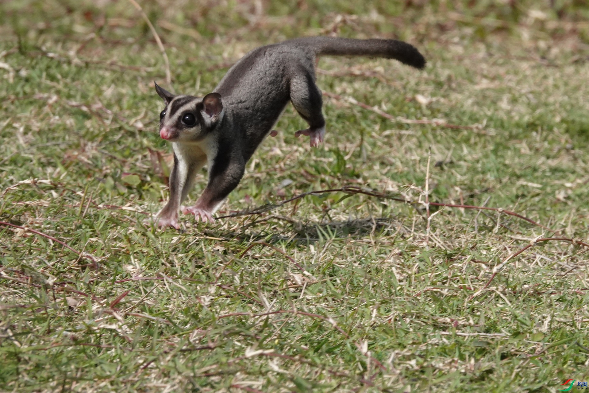 22S (58)_����.jpg