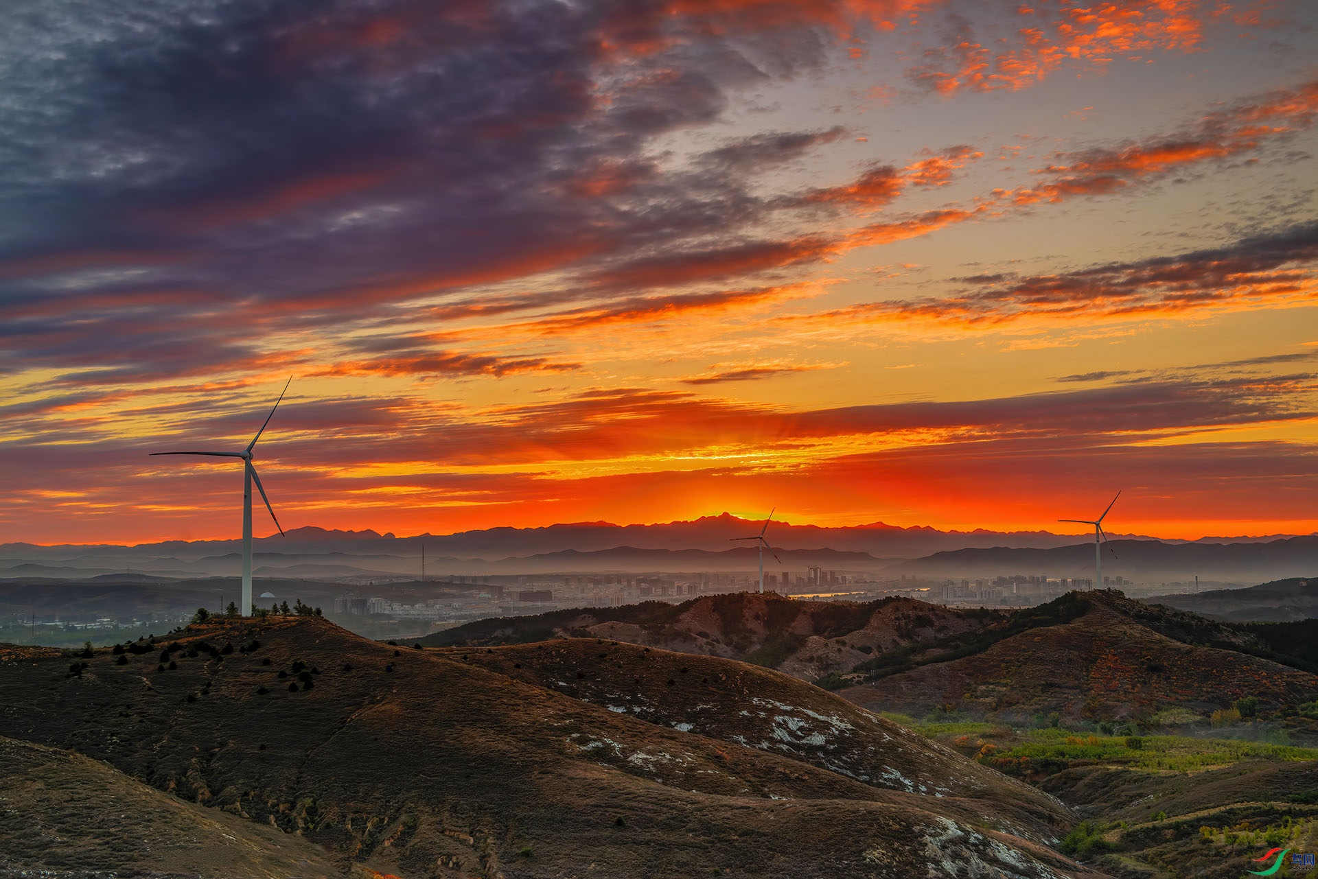 _DSC9439-NEF_DxO_DeepPRIME - ϼ������ - AA.jpg